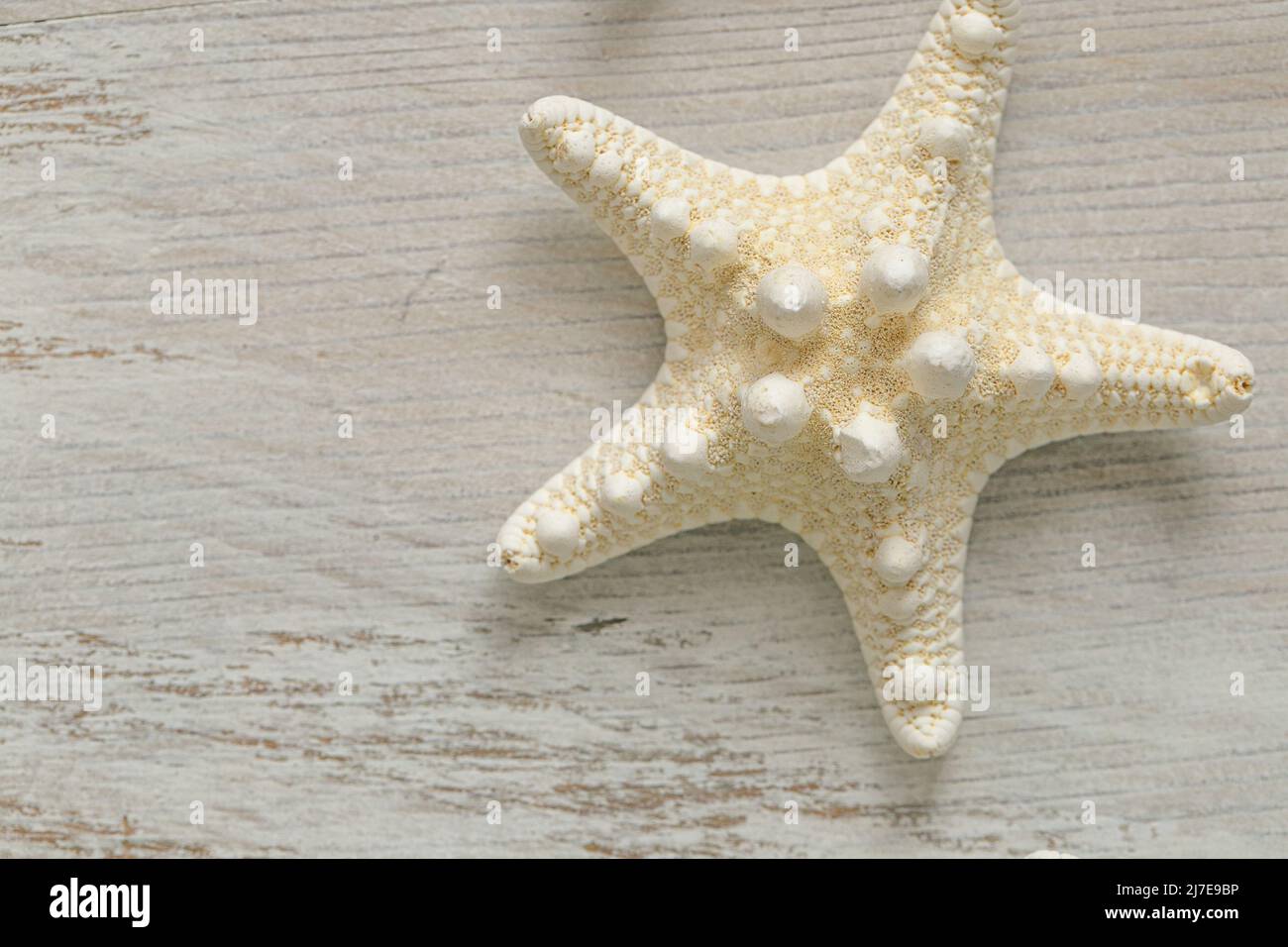 Estrellas de mar. Estrellas blancas sobre fondo blanco y elegante. Decoración náutica de verano. Fondo en un estilo marino Foto de stock