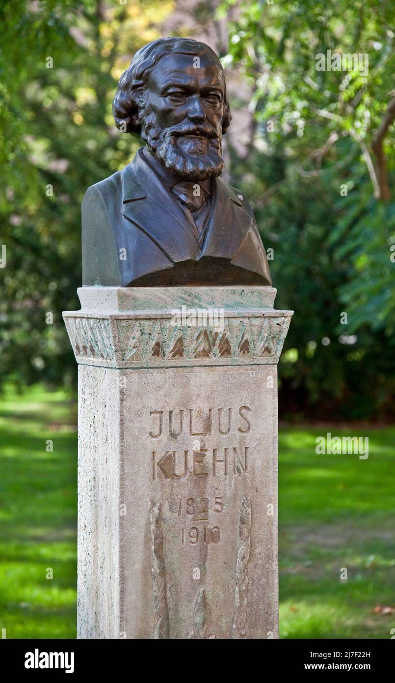 Halle S Büste von Julius Kühn 1825-1910 Begründer des landwirtschaftlichen Universitätsstudiums 76672 im Park der ehem landwirtschaftlichen Fakultät Foto de stock