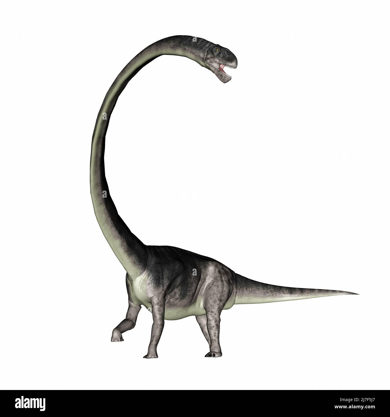 Omeisaurus dinosaurio rugido con su cuello largo - 3D render Foto de stock