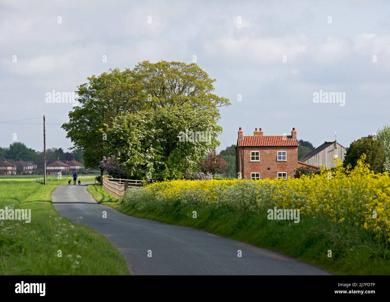 Casa y tierras de labranza cerca de Reedness, East Yorkshire, Inglaterra Reino Unido Foto de stock