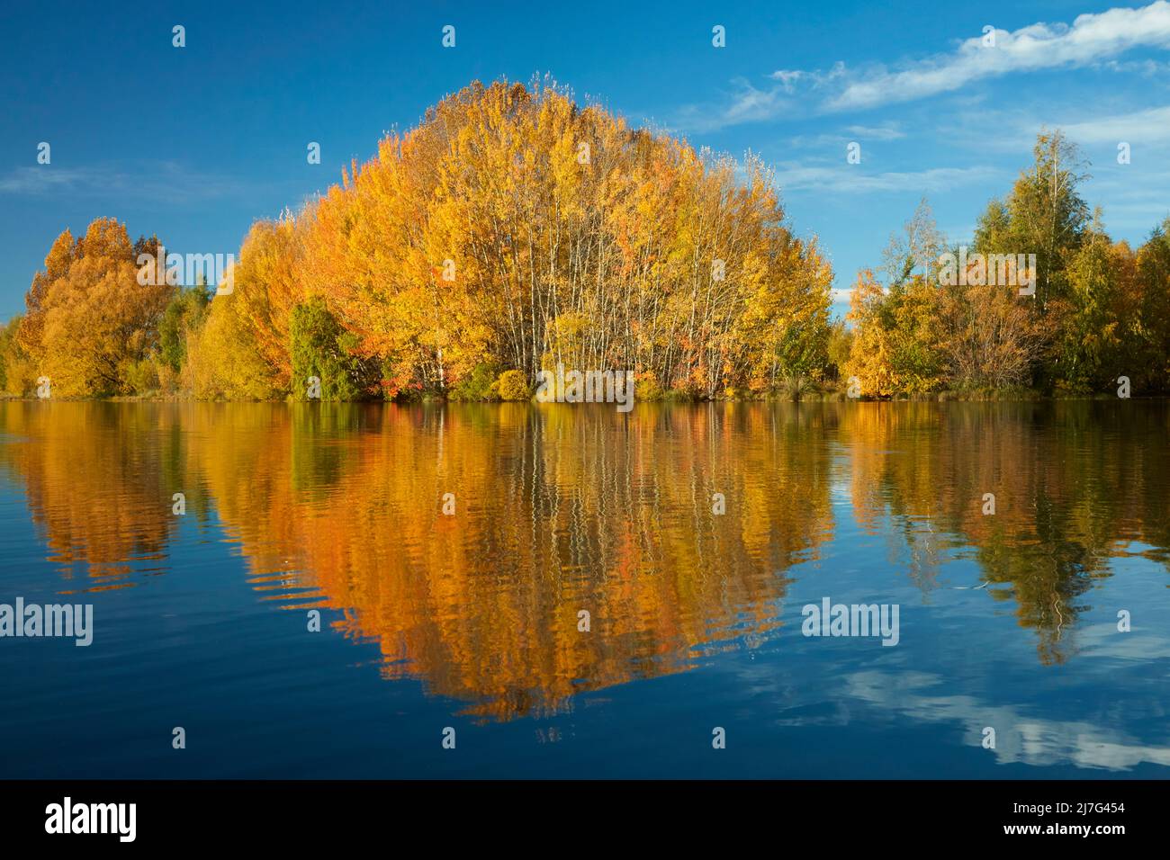 Reflexiones otoñales en Kellands Pond, cerca de Twizel, Mackenzie District, North Otago, South Island, Nueva Zelanda Foto de stock