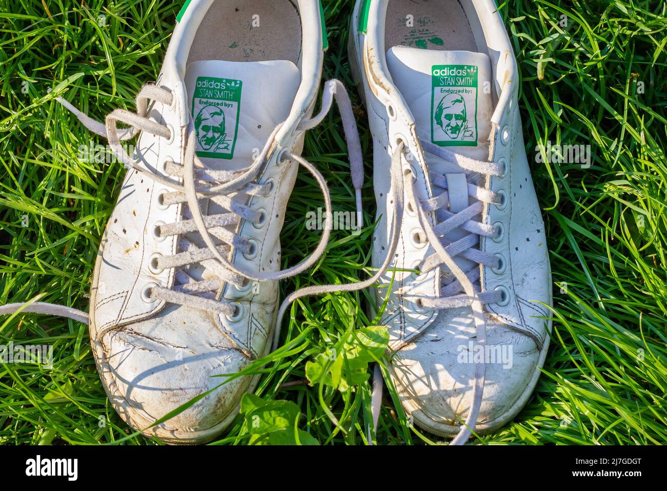 UCRANIA, - 04 DE de 2022: Sneakers adidas modelo Stan Smith Fotografía stock - Alamy