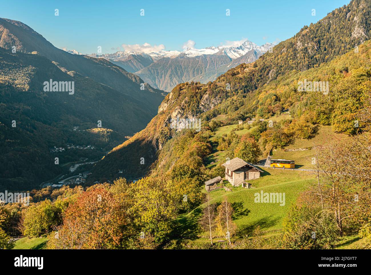 Bosque de castaños en el valle de Bregaglia cerca de Soglio en otoño, Grisons, Suiza Foto de stock