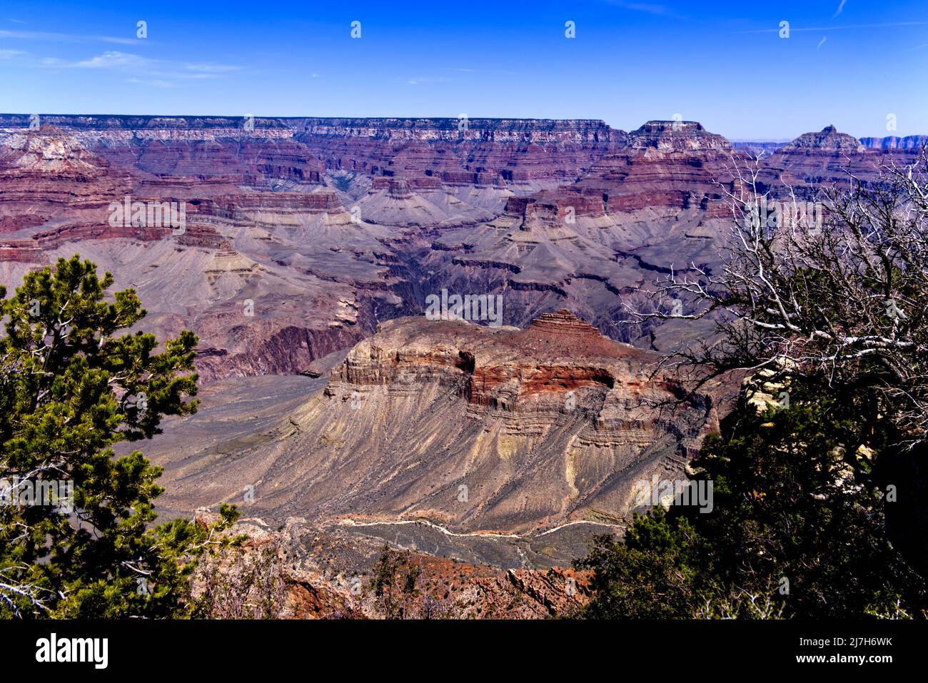 Grand Canyon - Yaki Point Foto de stock