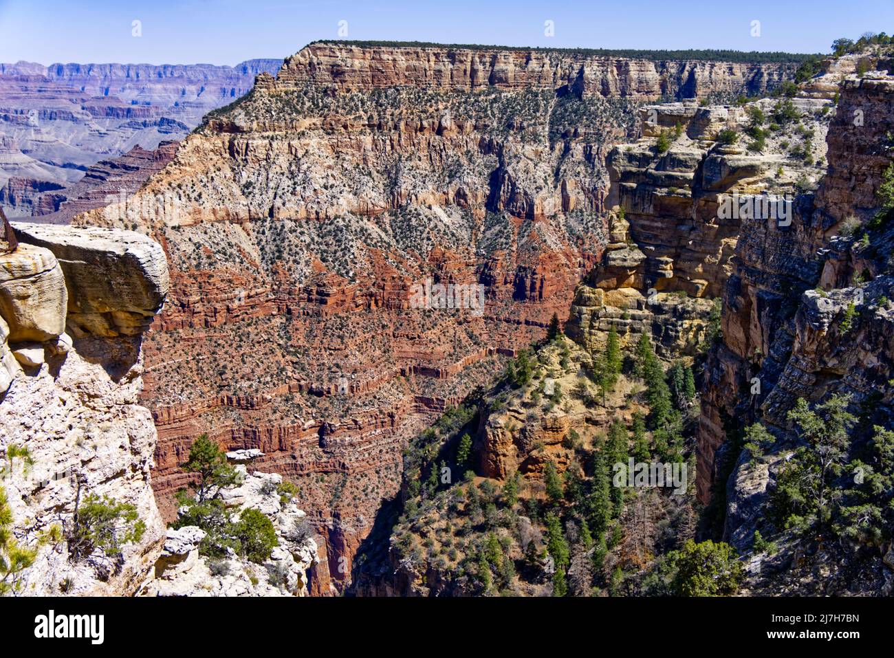 Grand Canyon - Mather Point Foto de stock