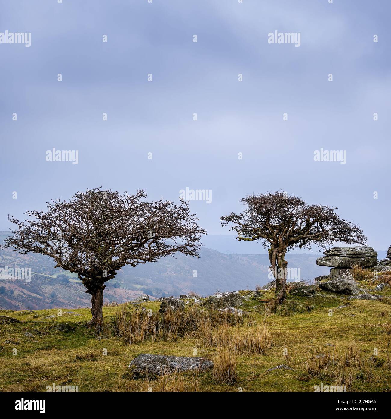 Combestone Tor en Dartmoor - multi-tiro pano Foto de stock