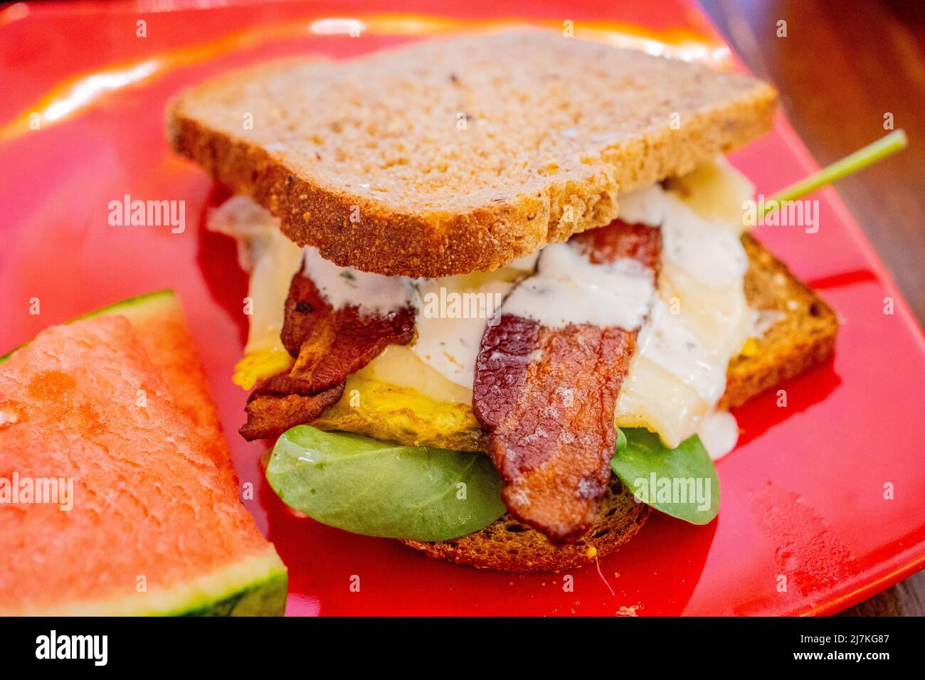 Sándwich de desayuno en Flying Squirrel Bakery Cafe, Talkeetna, Alaska Foto de stock