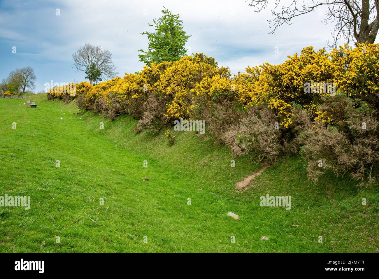Una sección de Offa's Dyke, Selattyn, Oswestry, Shropshire, Reino Unido. Foto de stock