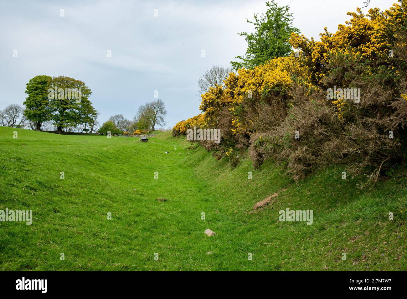 Una sección de Offa's Dyke, Selattyn, Oswestry, Shropshire, Reino Unido. Foto de stock