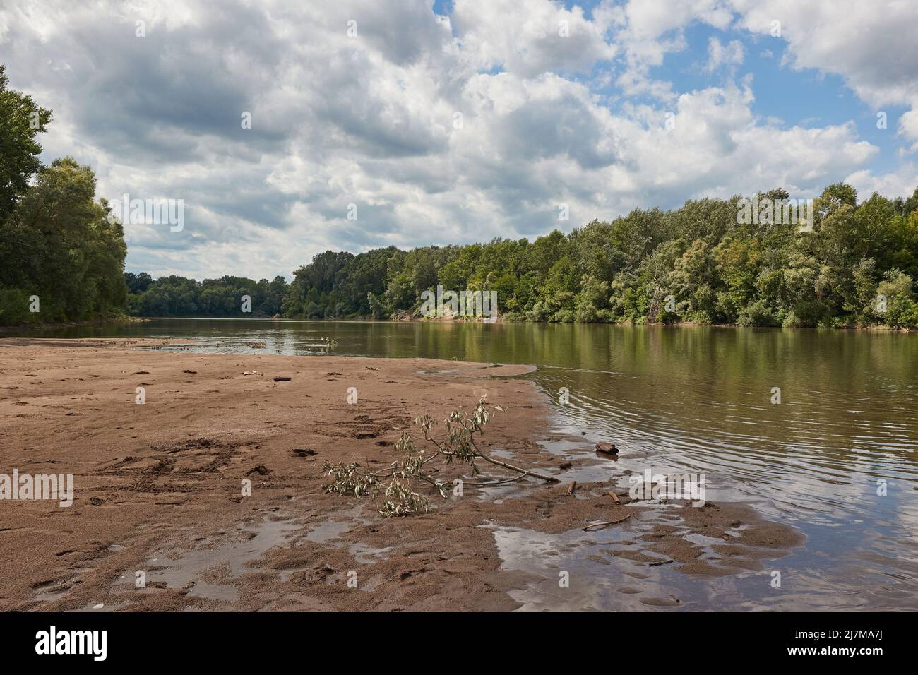 Paisaje fluvial con bancos de arena, Tisza Foto de stock