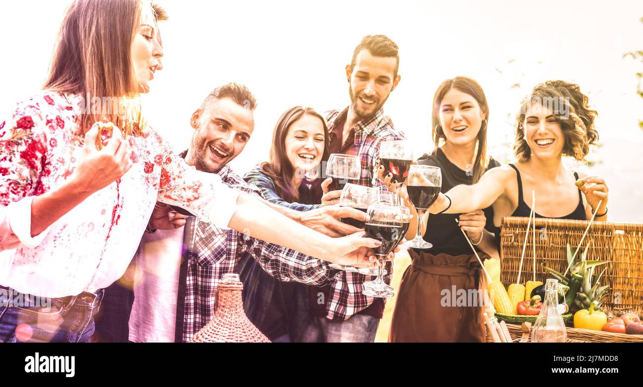 Jóvenes amigos divirtiéndose tostar vino tinto en la experiencia de picnic de viñedos - Feliz gente disfrutando de tiempo de cosecha juntos en la granja bodega de campo Foto de stock