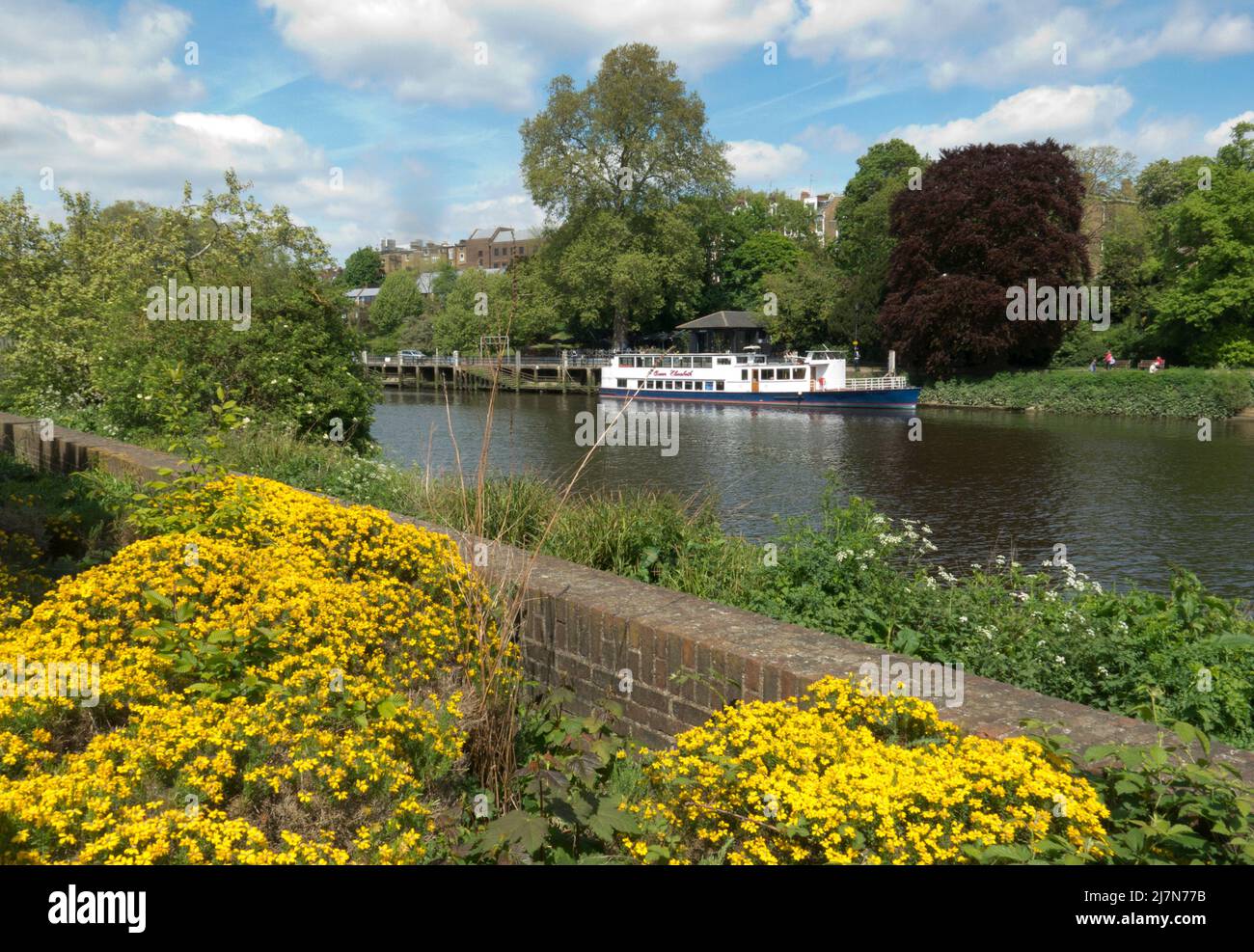 Río Támesis en Richmond sobre Támesis desde el este de Twickenham, Surrey, Londres, Inglaterra Foto de stock
