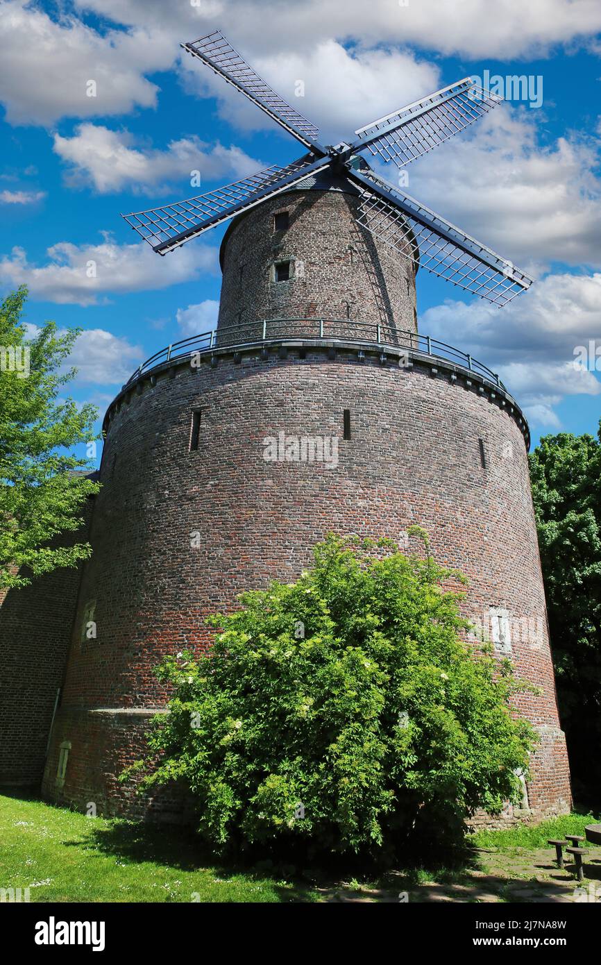 Vista del histórico molino de piedra de ladrillo medieval torre, cielo azul - Kempen, Alemania Foto de stock