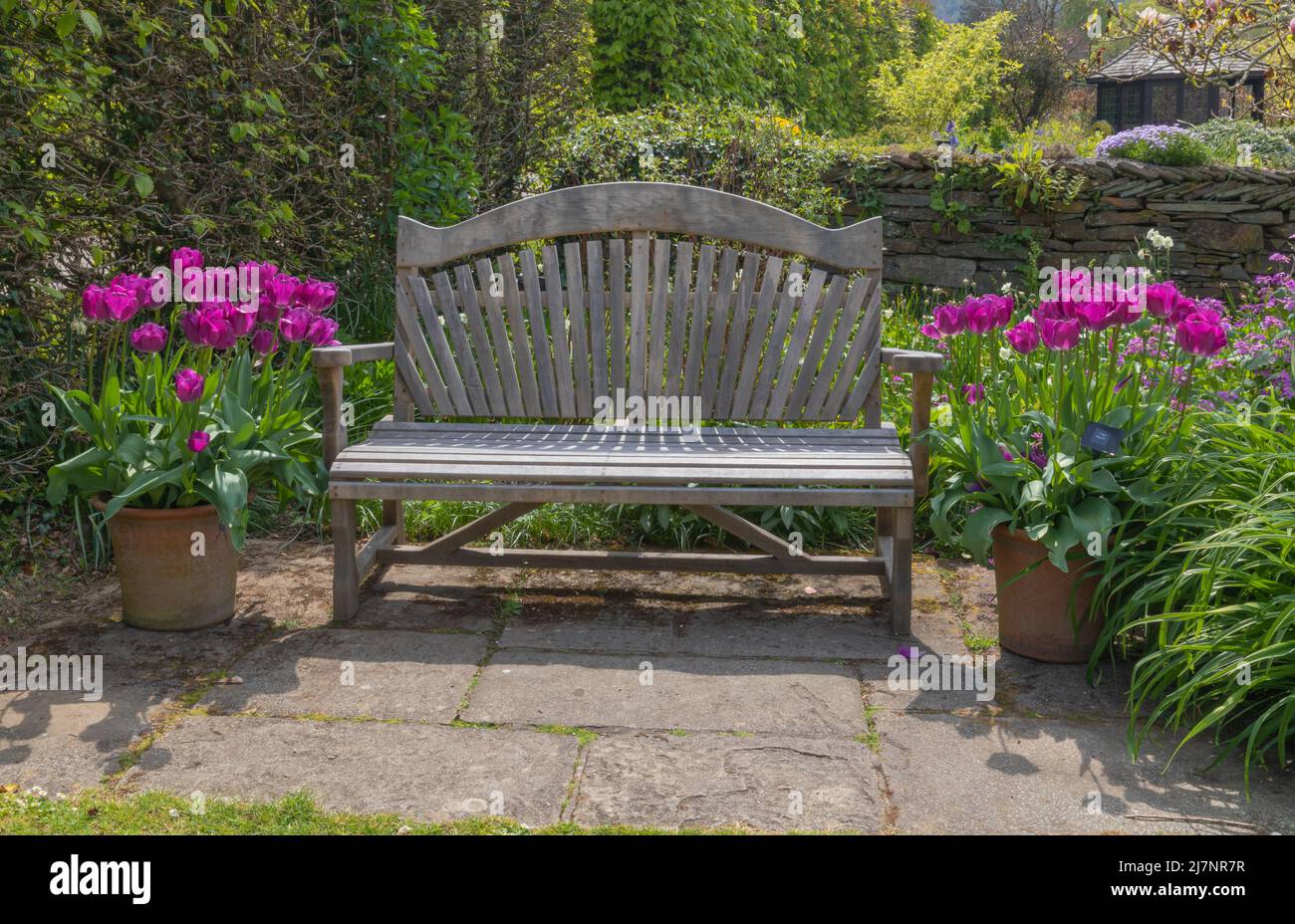 Tranquila zona de descanso situada en los jardines con tulipa negrita añadiendo color en las macetas de terracota Foto de stock
