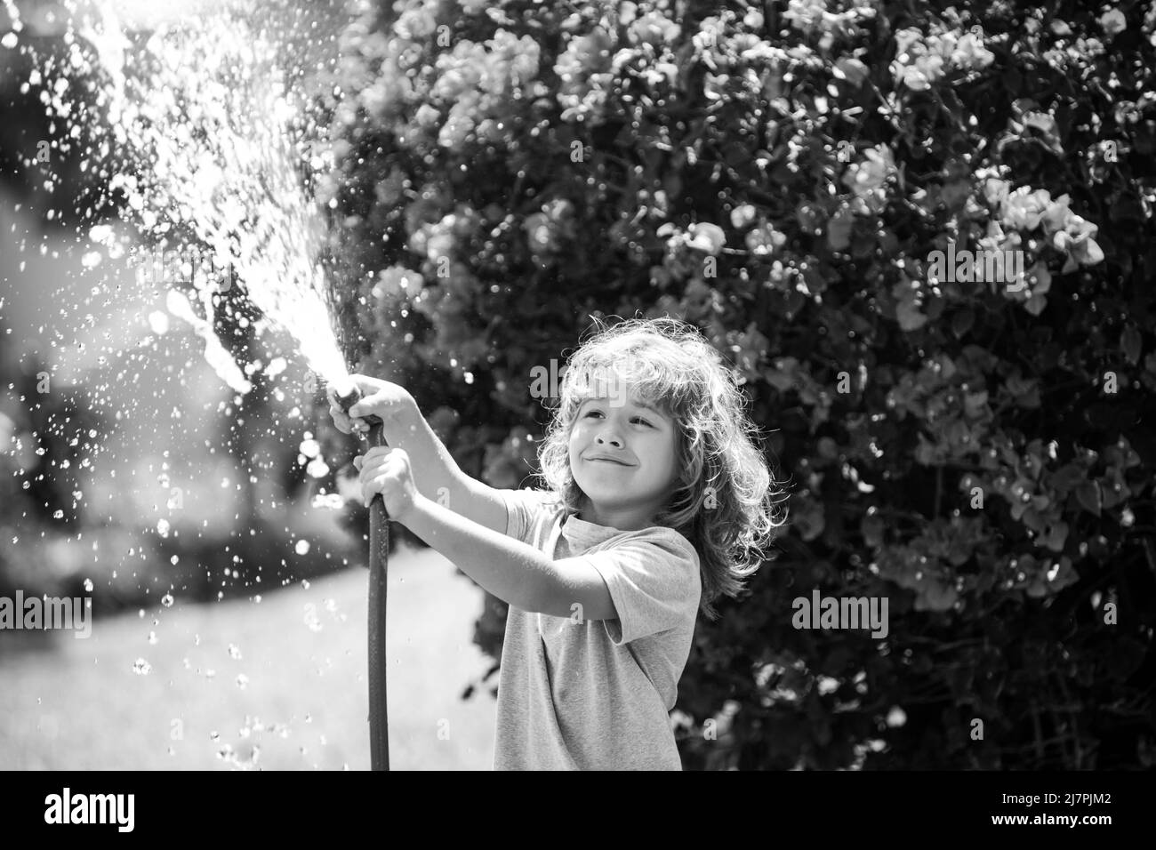 Belicoso evaluar Desarrollar Los niños juegan con la manguera de agua del jardín en el patio. Diversión  al aire libre en verano para niños. Niño pequeño jugando con manguera de  agua en el patio trasero.