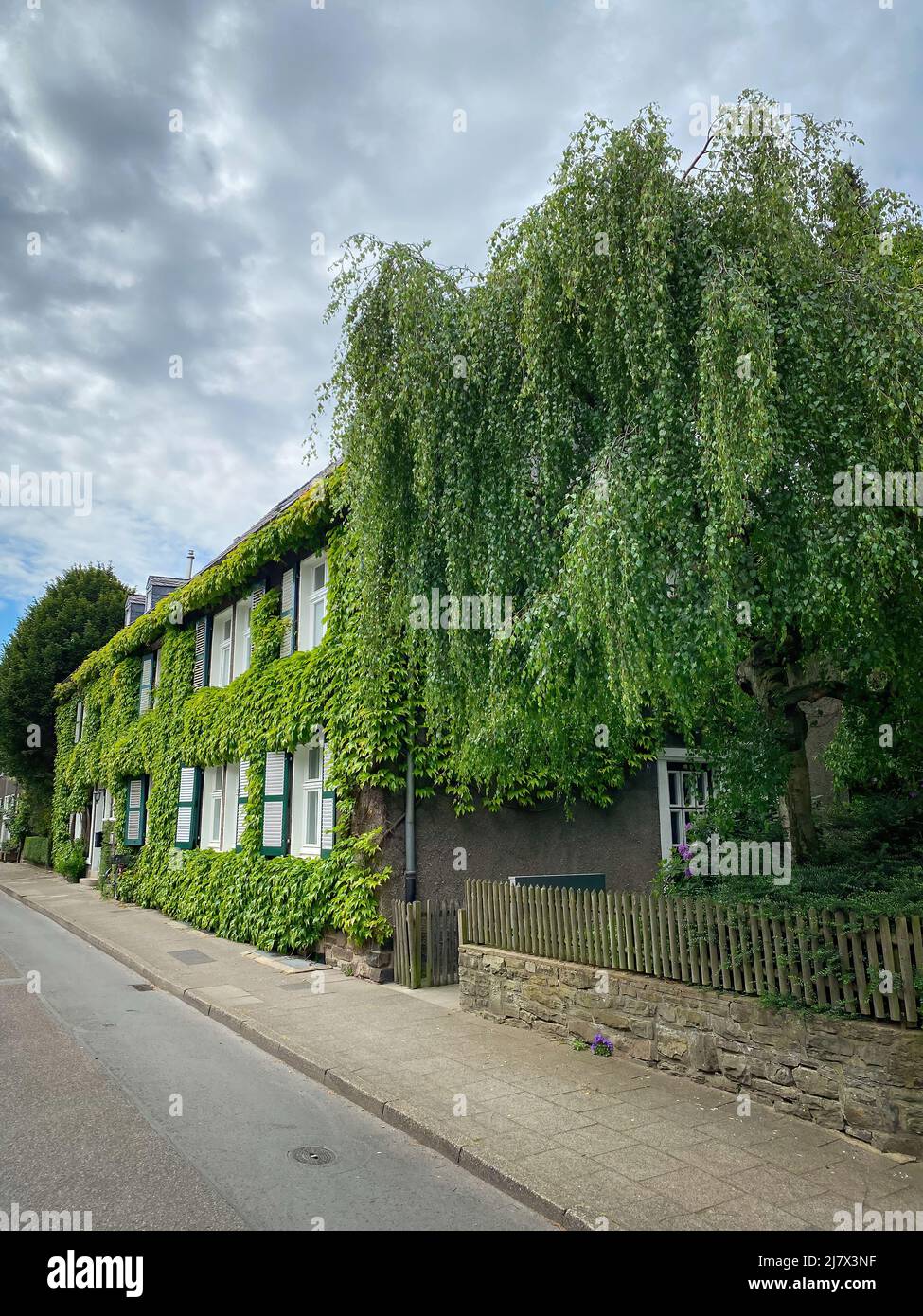 Hermosa casa cubierta de hojas de vid en el barrio “Margarethenhöhe”, el primer asentamiento del movimiento de la ciudad jardín en Alemania. Foto de stock