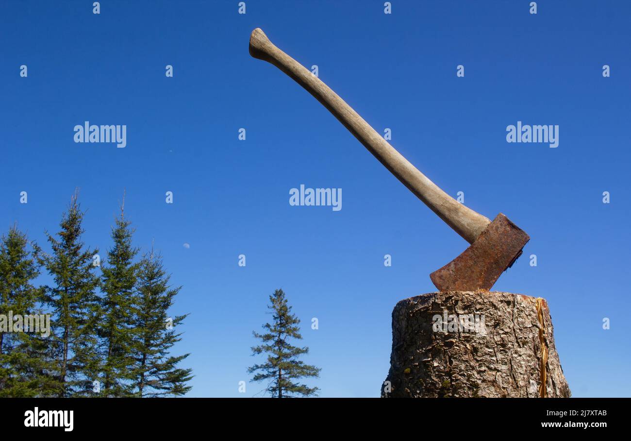 Hacha en el muñón. Hacha para cortar madera. Preparación de leña para el  invierno. Enfoque selectivo, fondo borroso Fotografía de stock - Alamy