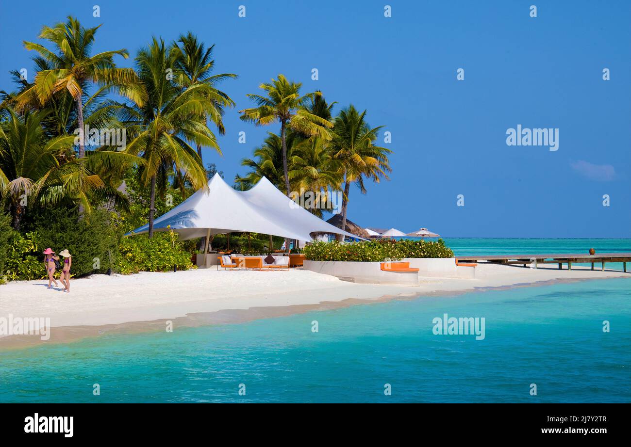 Bar de playa en un centro turístico de maldivas, isla con palmeras, playa y laguna, Maldivas, océano Índico, Asia Foto de stock