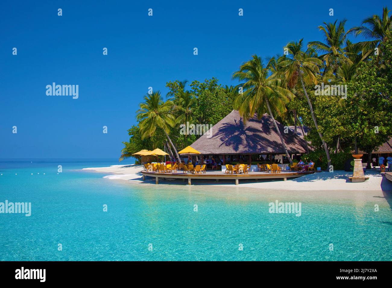 Bar de playa en un centro turístico de maldivas, isla con palmeras, playa y laguna, Maldivas, océano Índico, Asia Foto de stock