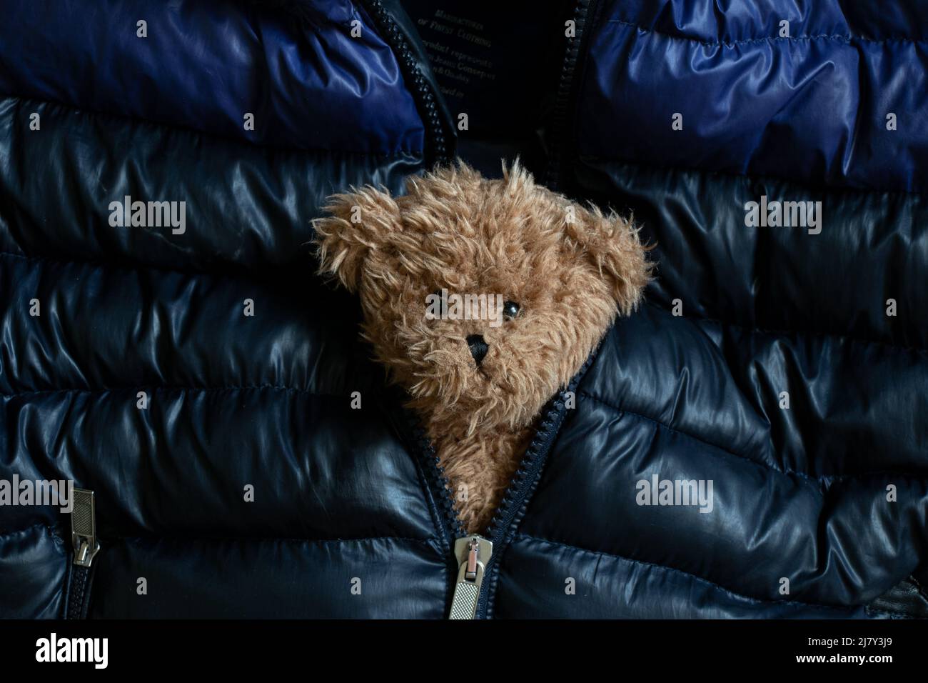 oso de peluche marrón en una chaqueta negra y azul cálida con puño, juguete  de fondo para niños, oso de peluche suave Fotografía de stock - Alamy
