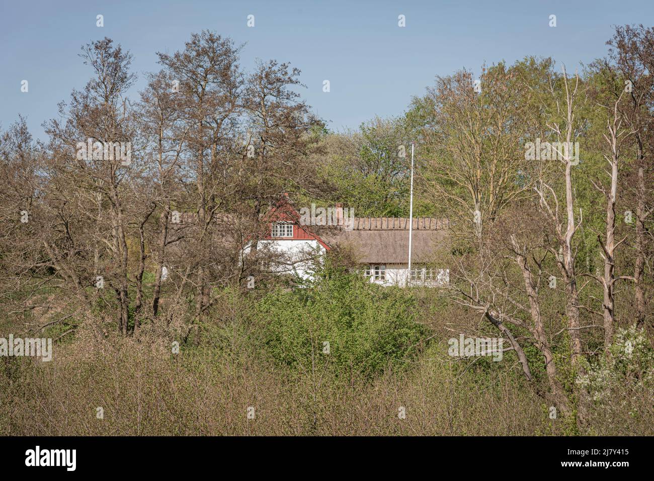 Casa de vacaciones con techo de paja sola en una naturaleza salvaje, Ejby, Dinamarca, 9 de mayo de 2022 Foto de stock
