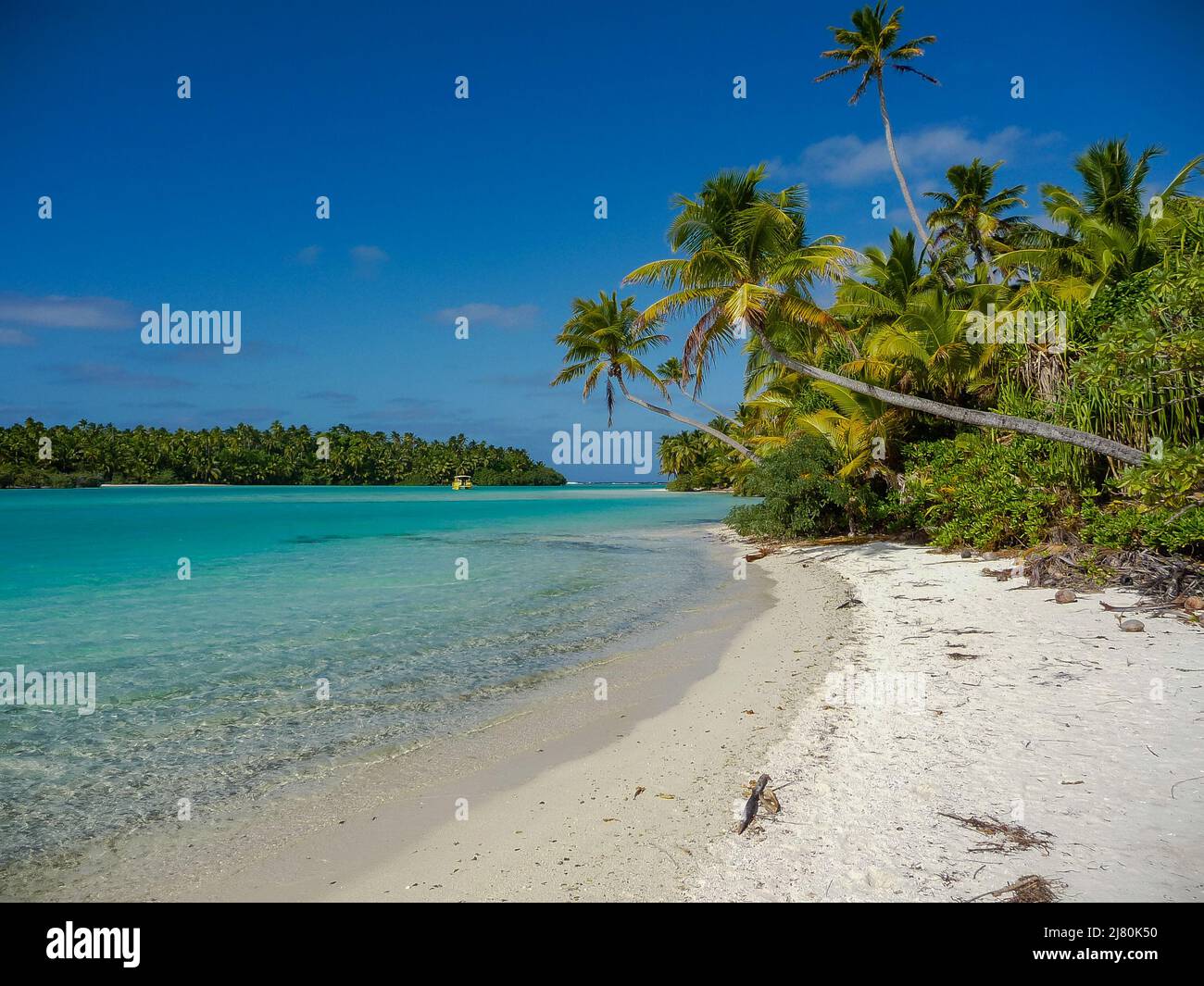 Palmeras en una playa tropical, laguna Aitutaki, Islas Cook Foto de stock