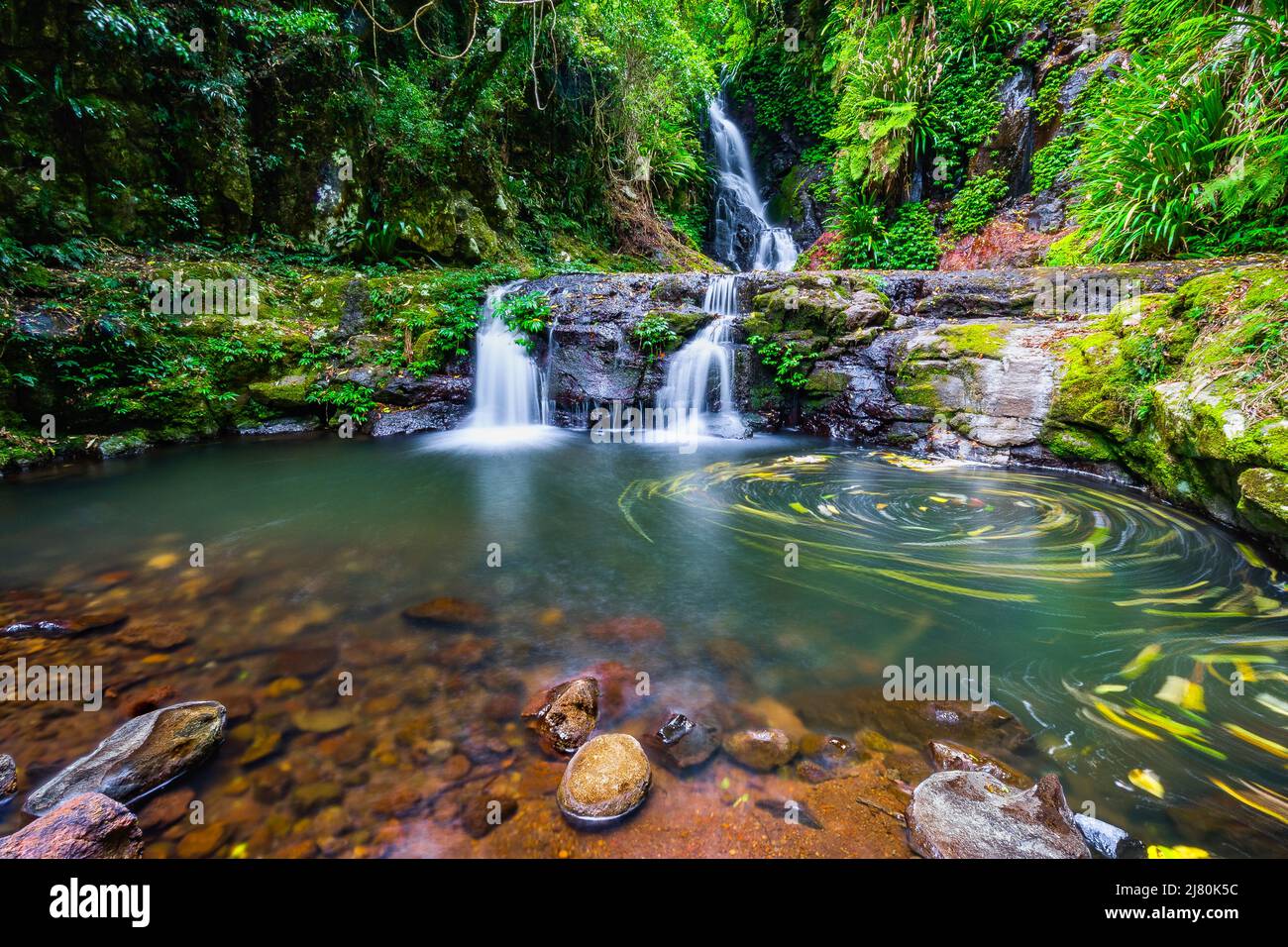 Elabana Falls, Parque Nacional Lamington, Queensland, Nueva Gales del Sur, Australia Foto de stock