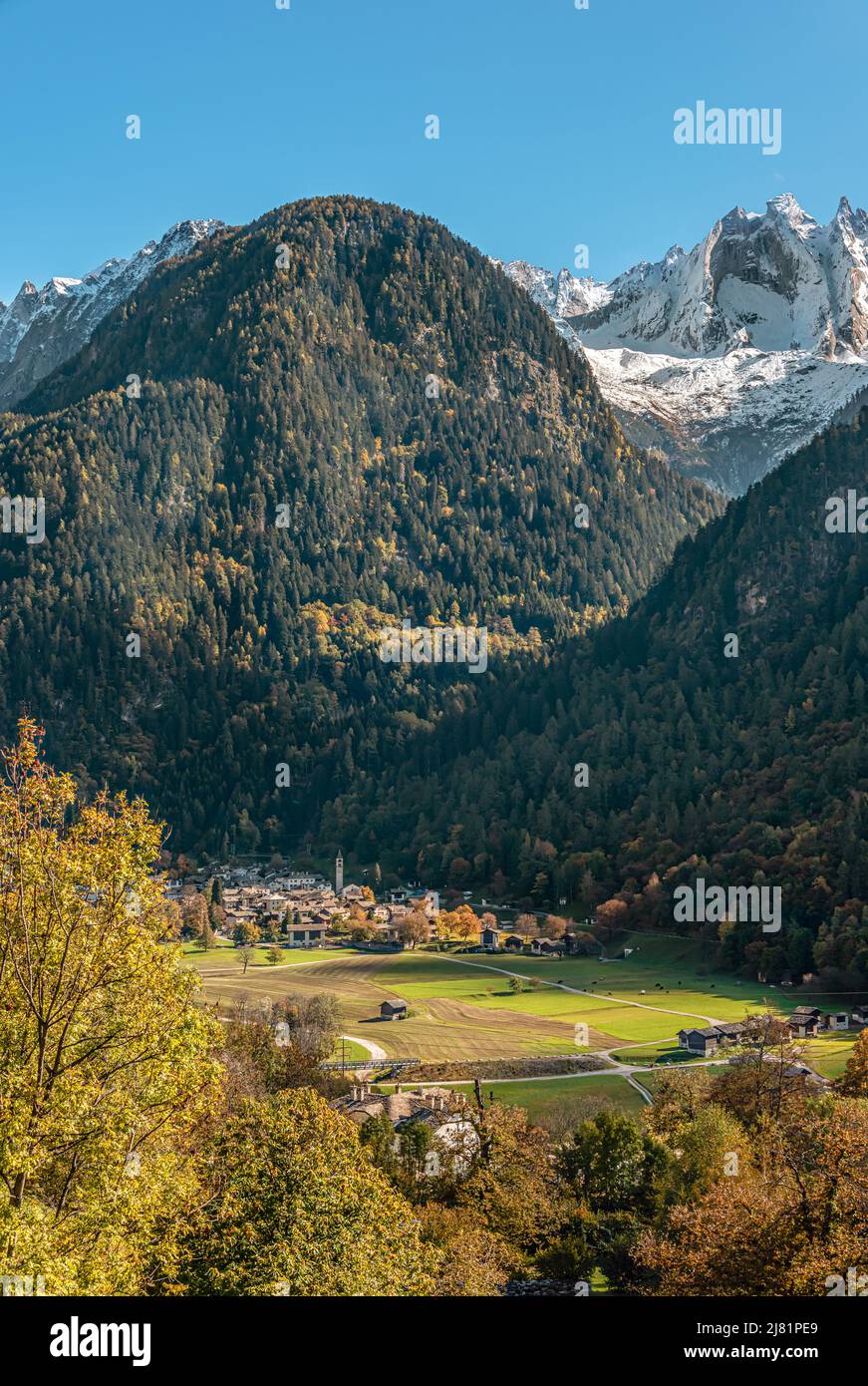 Vista desde Soglio en Bondo en Val Bregaglia/Bergell, Grisons, Suiza, con el Penz Cengalo al fondo Foto de stock
