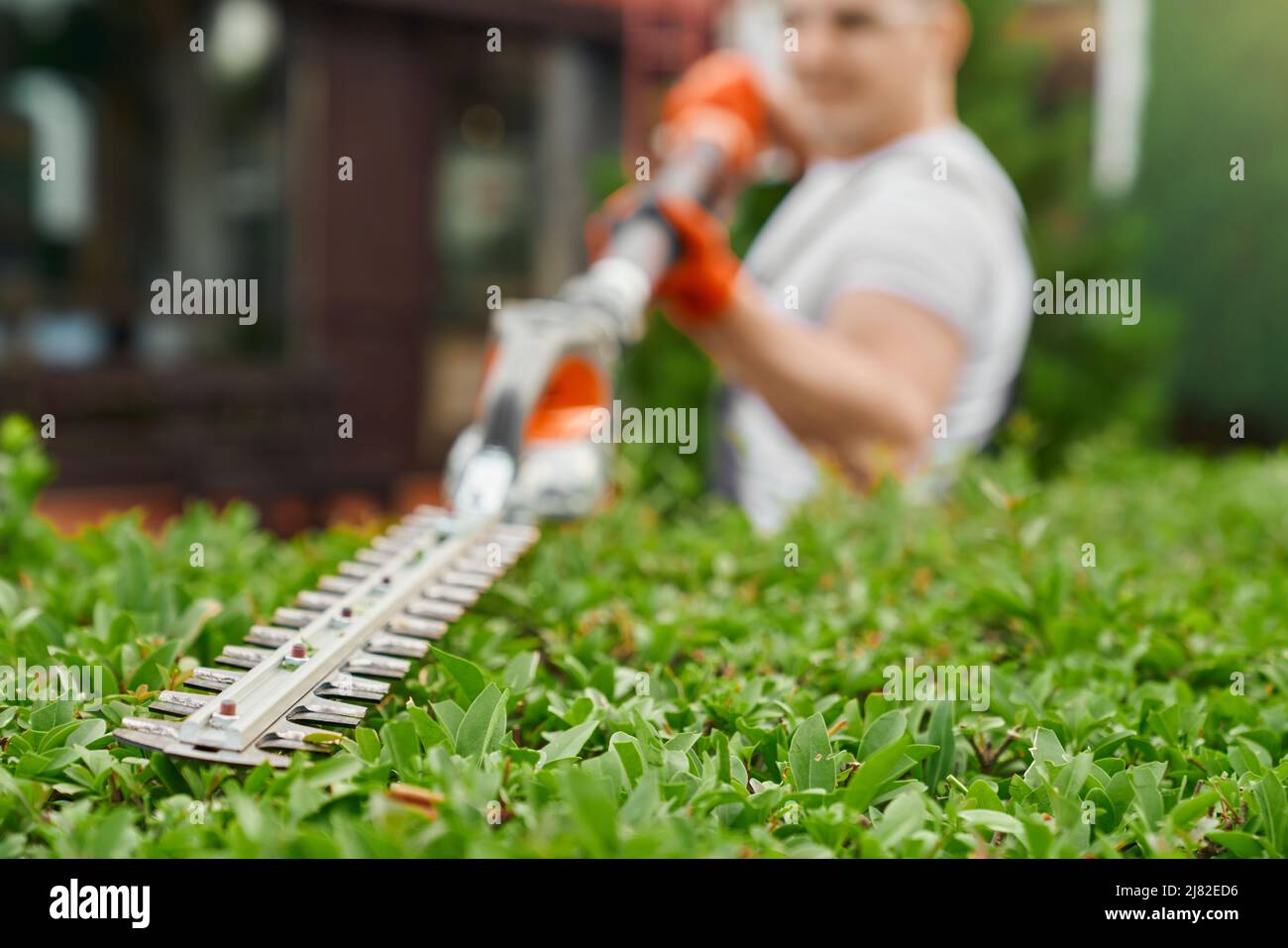 Desenfoque el fondo del jardinero masculino en uniforme usando la máquina  fresadora eléctrica para podar los arbustos en el patio trasero. Enfoque en  el equipo moderno de jardinería. Concepto de trabajo manual