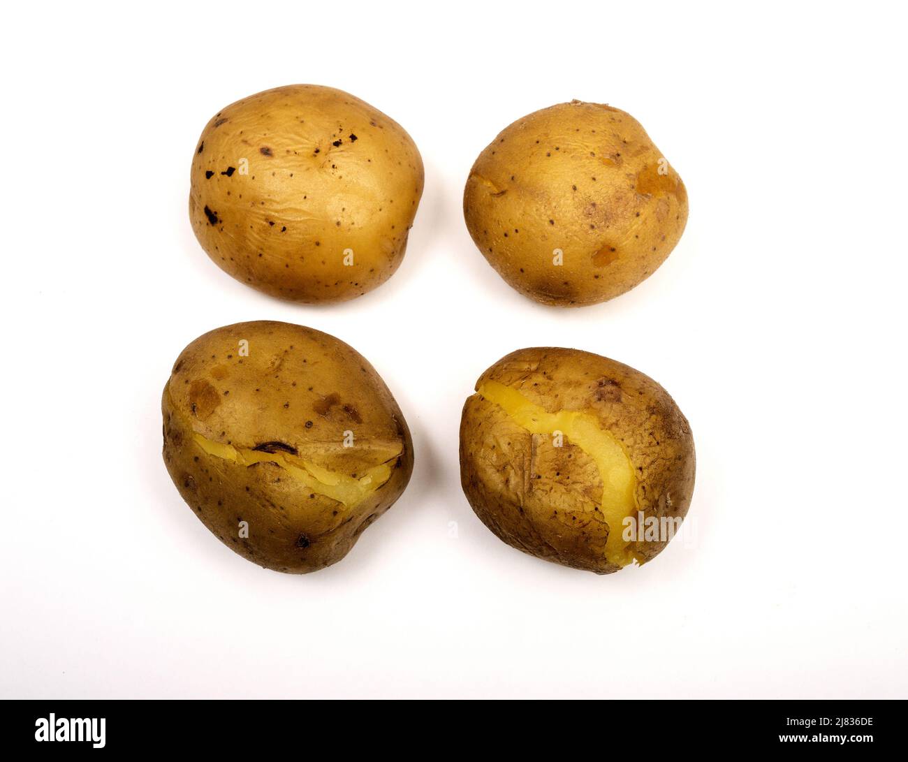 cuatro patatas hervidas en sus pieles sobre un fondo blanco Foto de stock