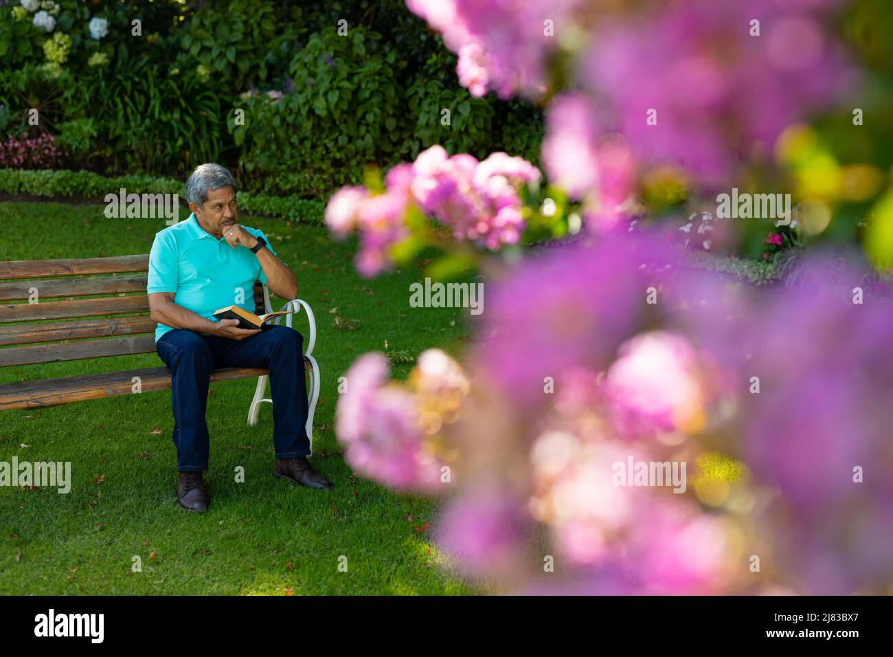 Hombre de edad bien considerado biracial con la mano en la barbilla y libro sentado en banco contra las plantas en el parque Foto de stock
