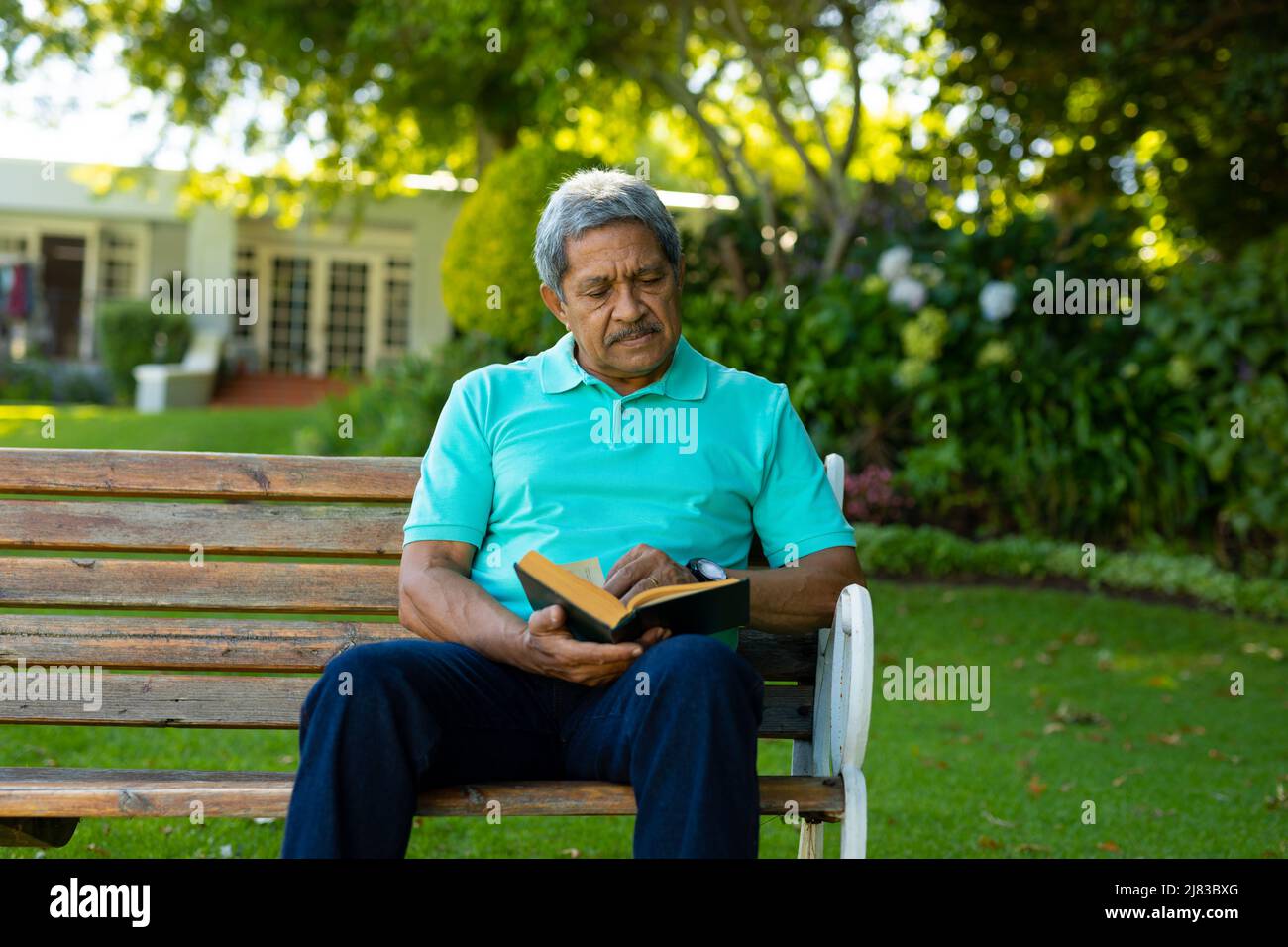 Libro de lectura de hombre mayor de edad biracial enfocado mientras está sentado en un banco contra árboles y plantas en el parque Foto de stock