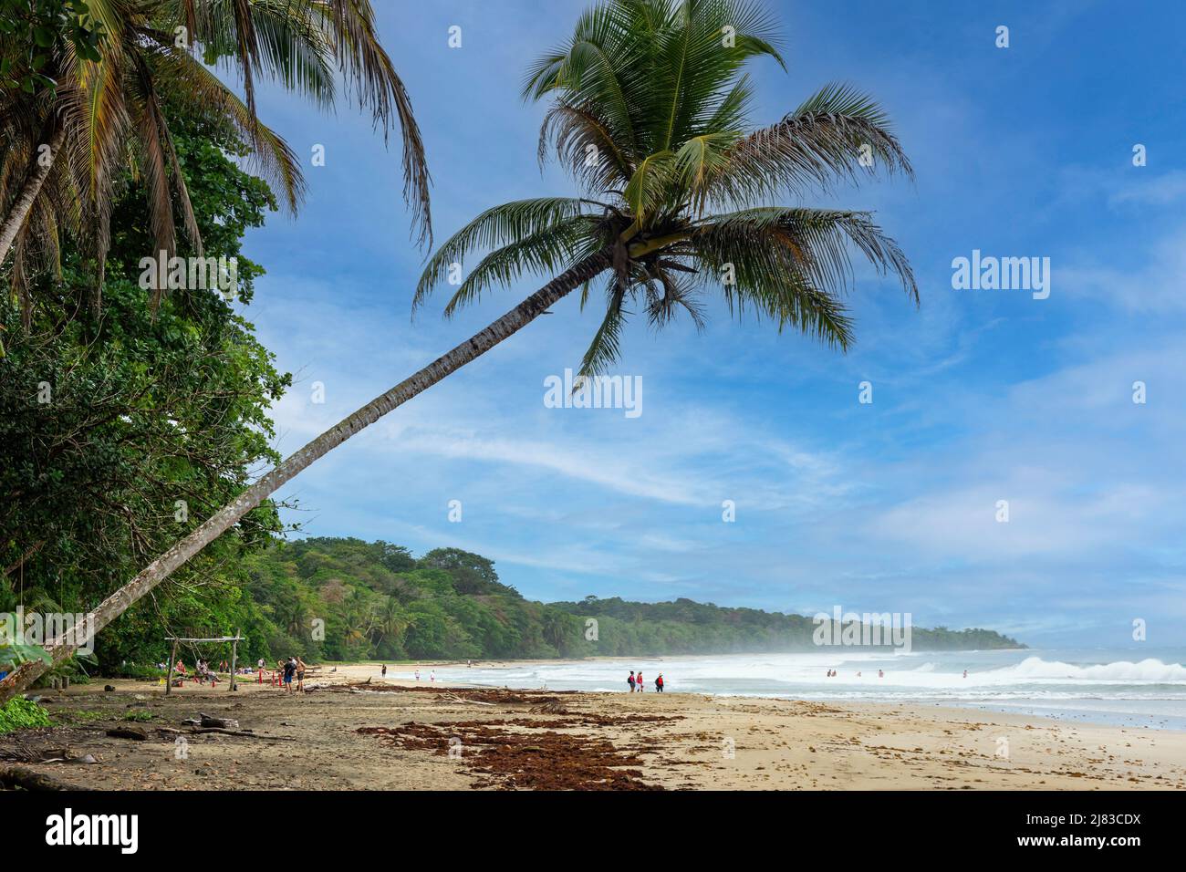 Playa Grande, Parque Nacional Manzanillo, Provincia de Limón, República de Costa Rica Foto de stock