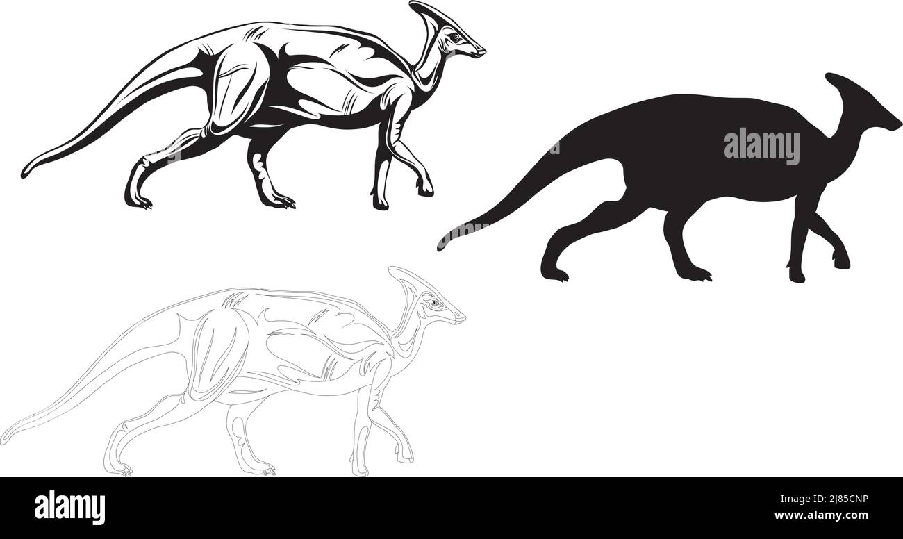 Parasaurolophus, imagen realista de dinosaurio, vector, posiciones, ilustración, blanco y negro, silueta, logotipo, marca registrada, galón para decoración y d Ilustración del Vector