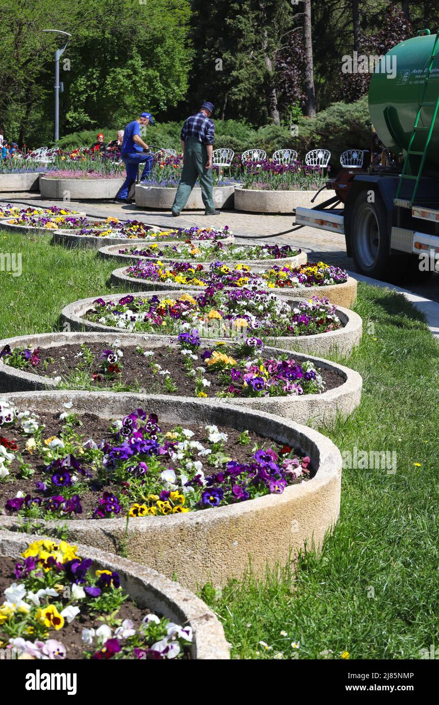 Los jardineros regan las flores en el parque en Sofía, Bulgaria el 05/13/2022 Foto de stock