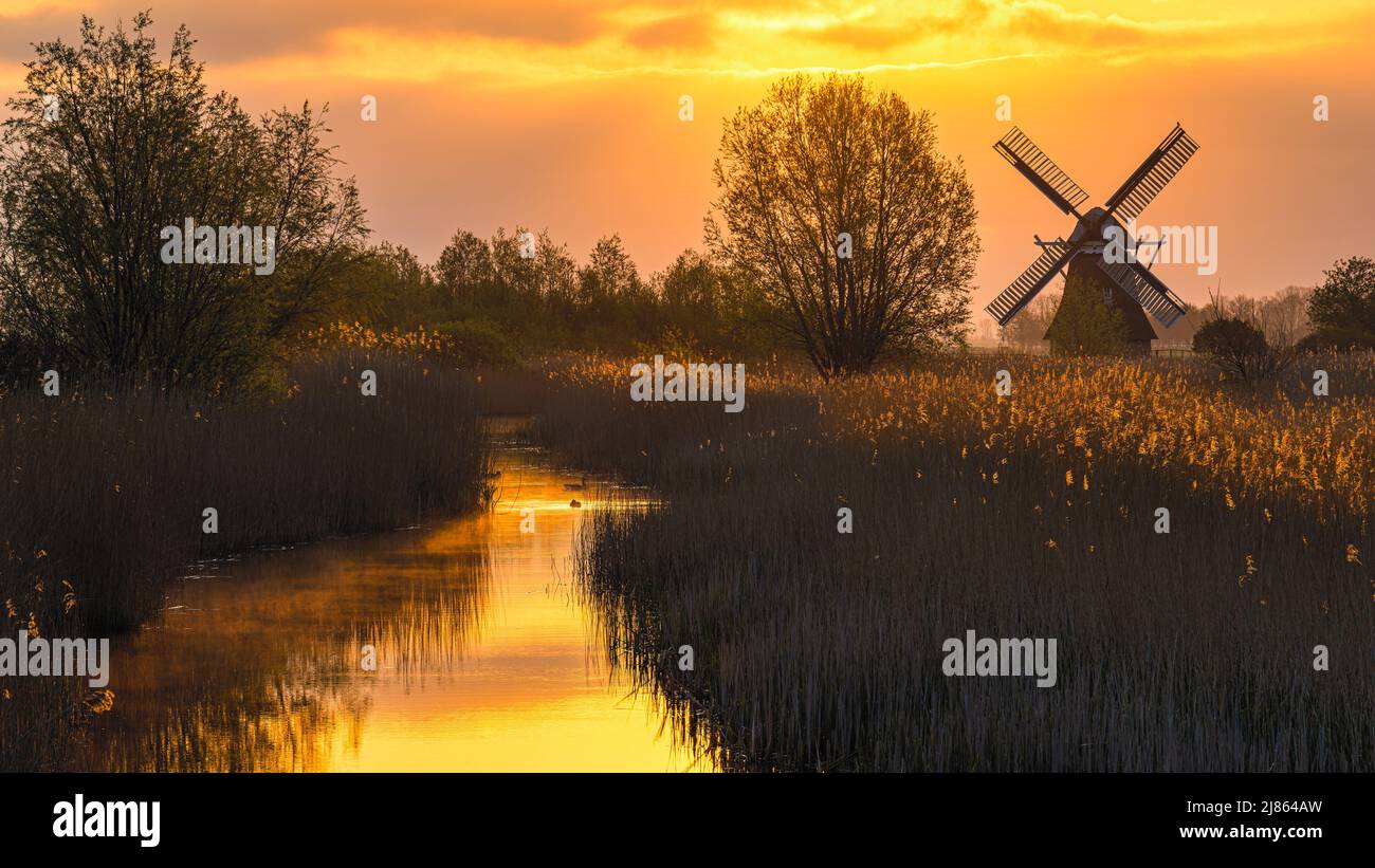 Amanecer en el Molino Noordermolen (Norte), en Noorddijk en la provincia de Groningen, Países Bajos Foto de stock