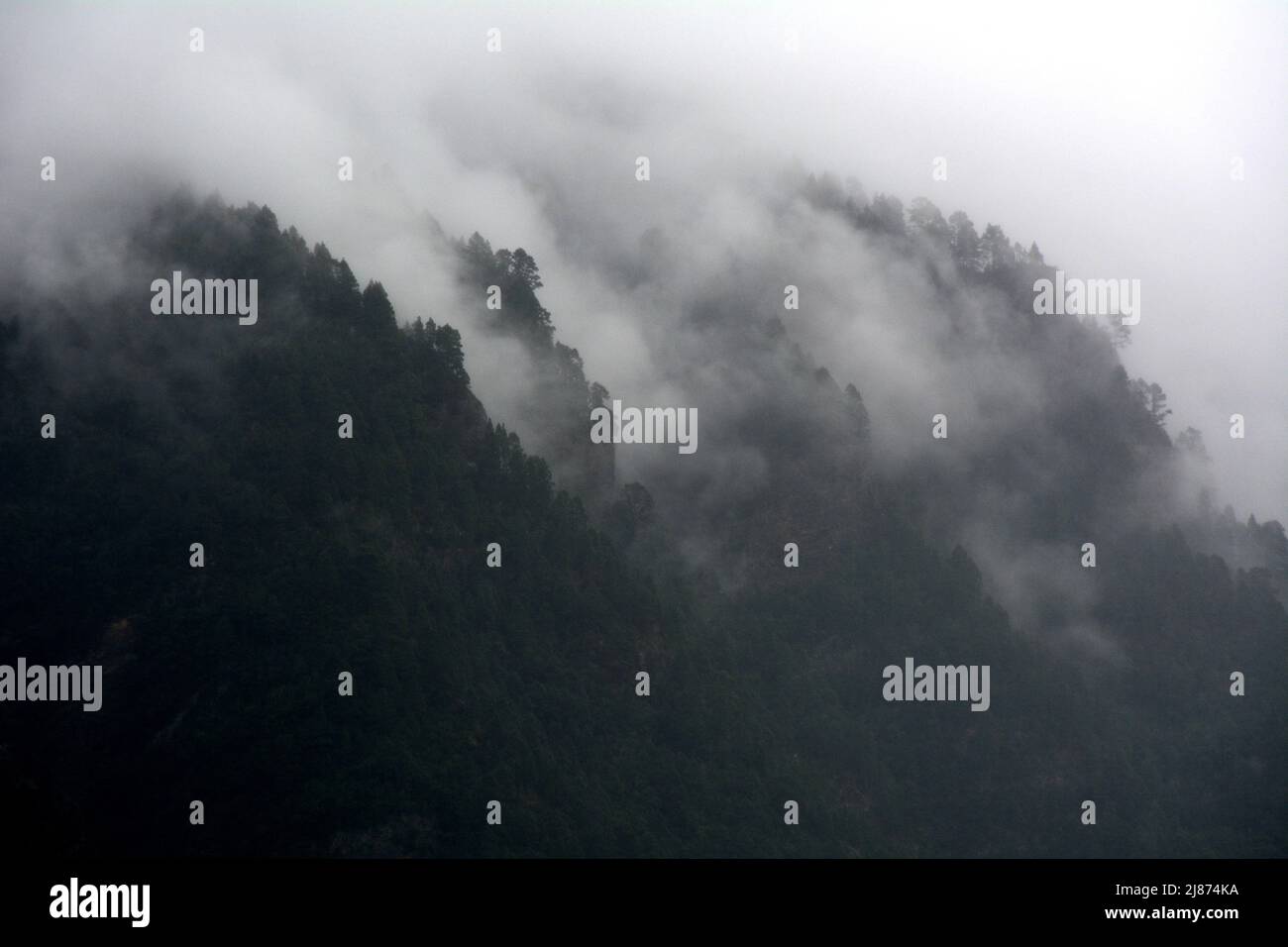 Montañas, bosques y neblina en el Valle de Oratova en la isla de Tenerife, Islas Canarias, España. Foto de stock