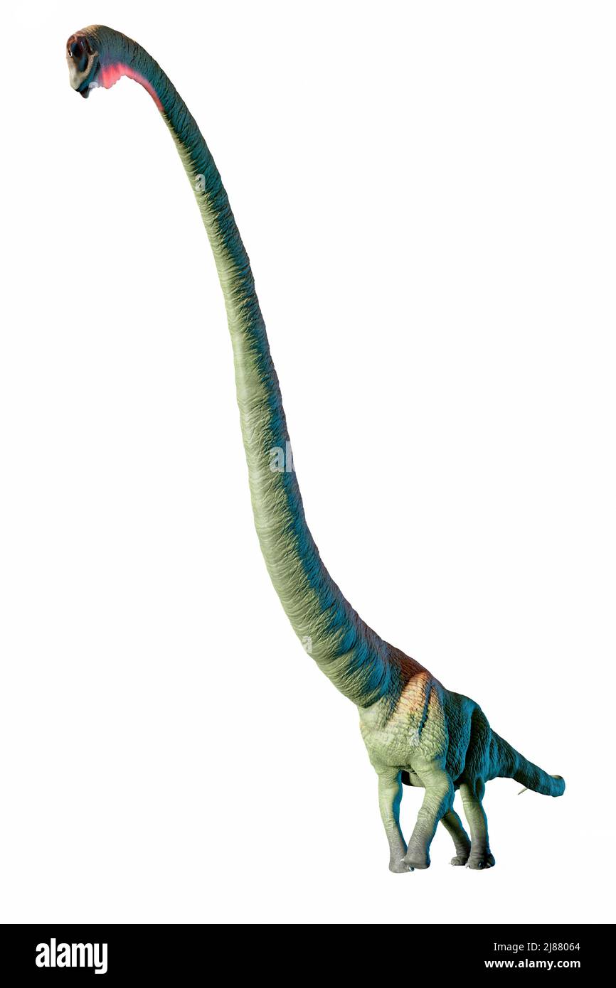Obra de Mamenchisaurus Foto de stock