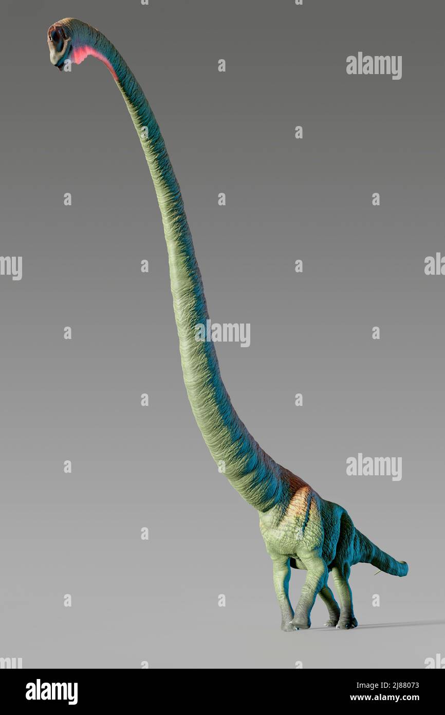Obra de Mamenchisaurus Foto de stock