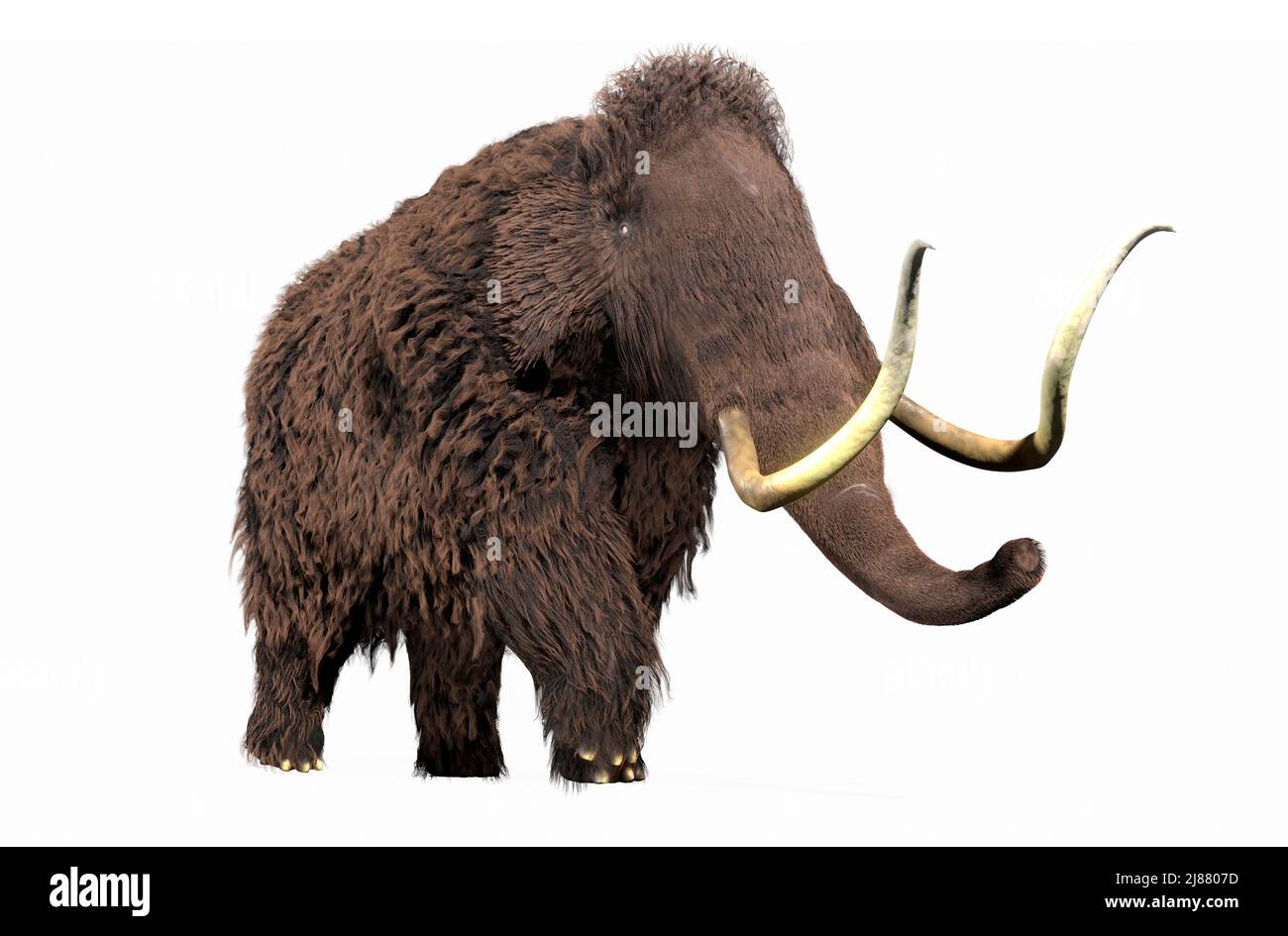 Obra de un mammoth de Woolly Foto de stock