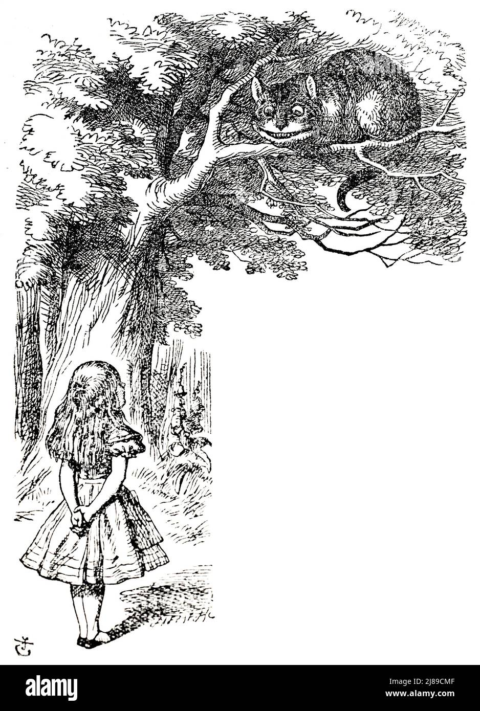 John Tenniel ilustración del gato Cheshire de Alice in Wonderland de Lewis Carroll Foto de stock