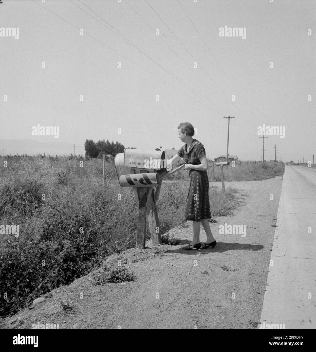 La Sra. Bouchey recibe el correo de la mañana. Esposa del cliente de compra del inquilino. Washington, Yakima Valley, cerca de Toppenish. Foto de stock
