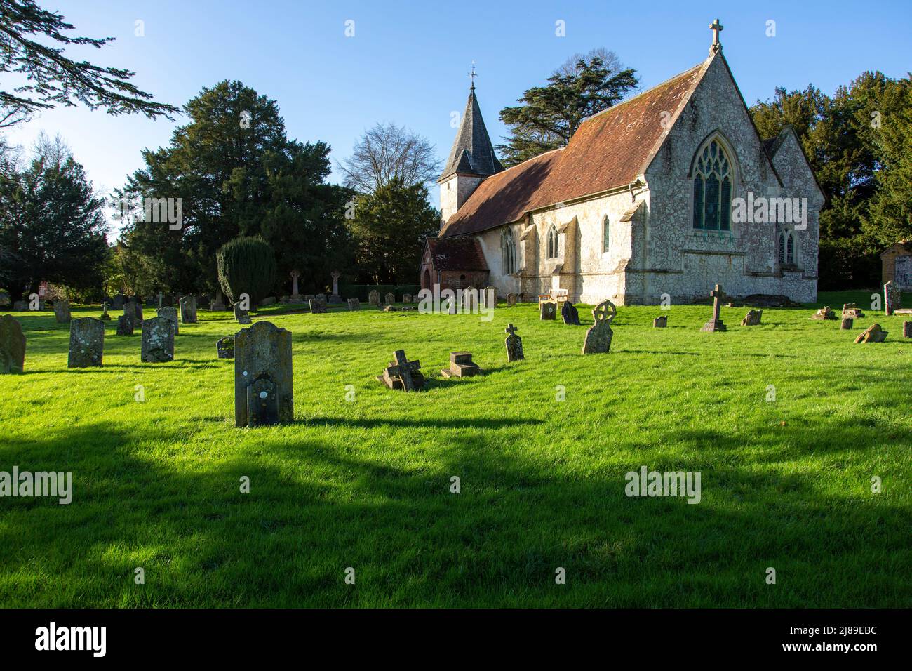 Iglesia de Farringdon y su antiguo tejo, Farringdon, Hampshire, Inglaterra Foto de stock