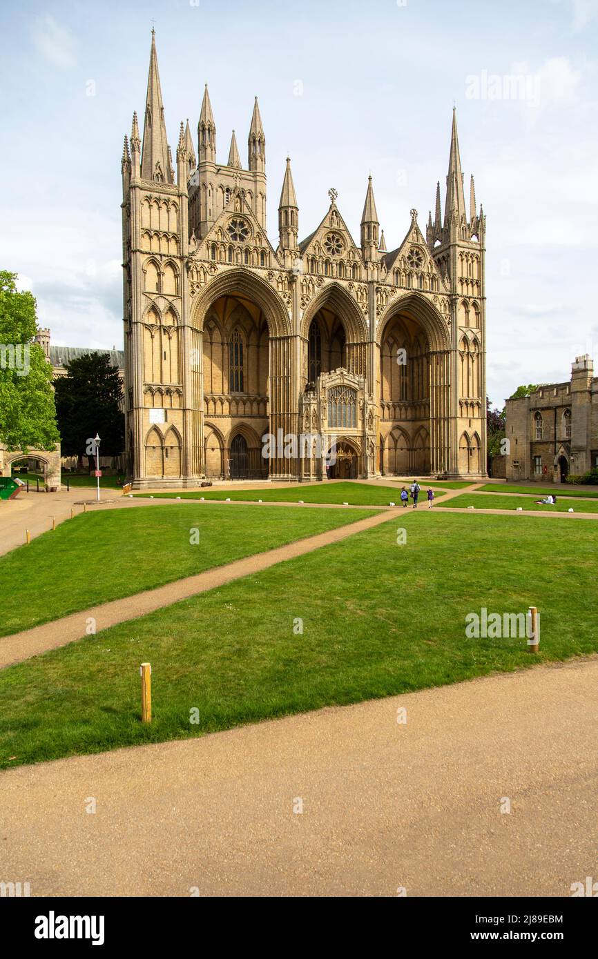 Césped y el frente oeste de la catedral gótica medieval Peterborough, Inglaterra, Reino Unido Foto de stock