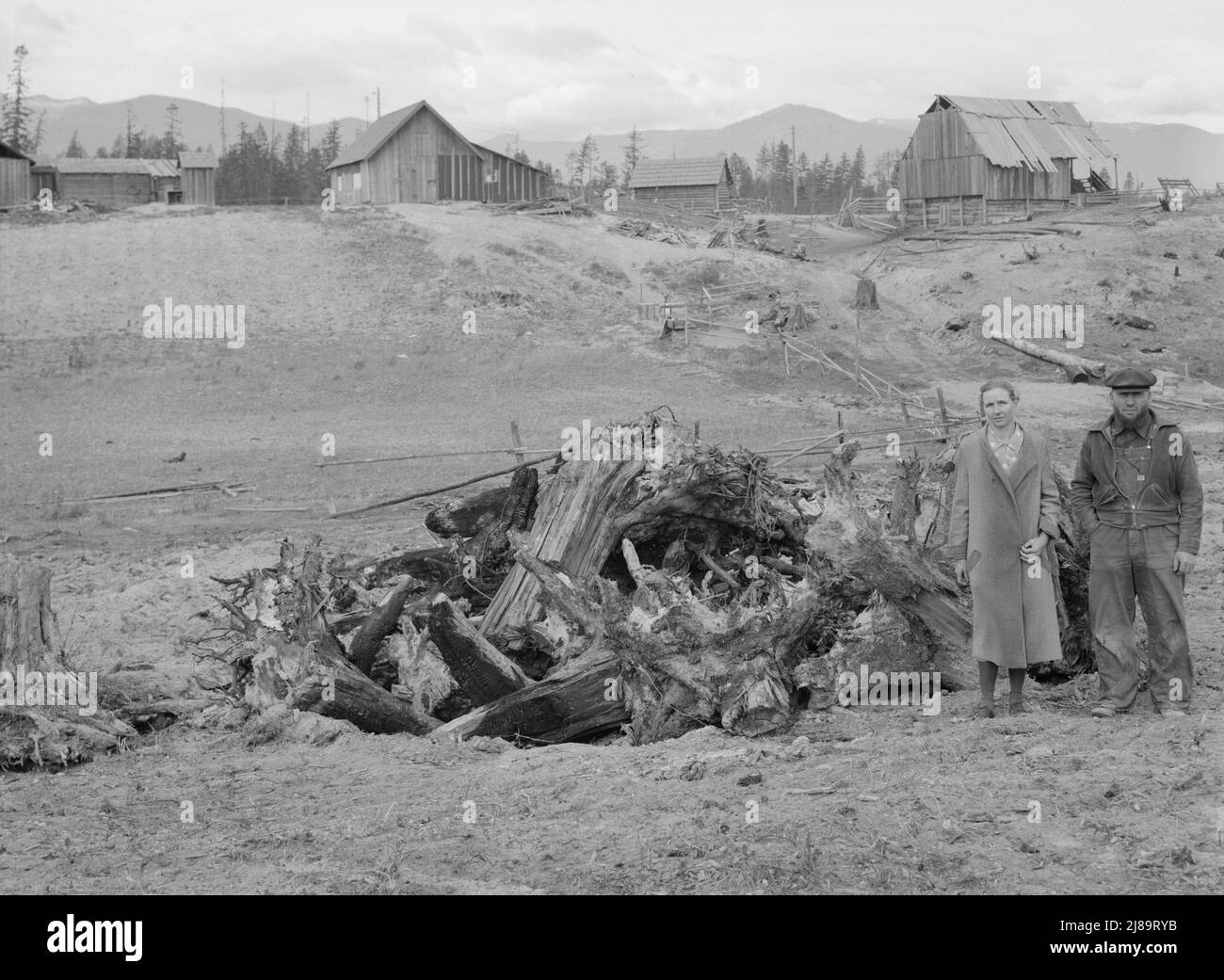 [Untitled, posiblemente relacionado con: La familia Unruf, el montón de tocones, y su granja parcialmente desarrollada. Condado de Boundary, Idaho]. Foto de stock