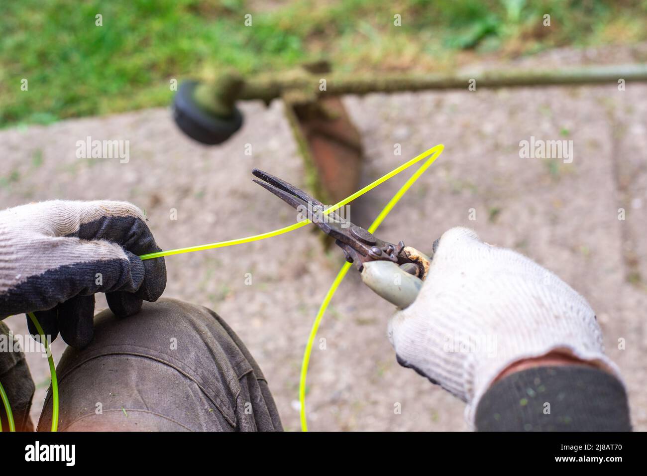 Un jardinero con una podadora corta un pedazo de línea de pesca para un cortacésped de gas. Segado de césped de primavera, cuidado de césped. Foto de stock