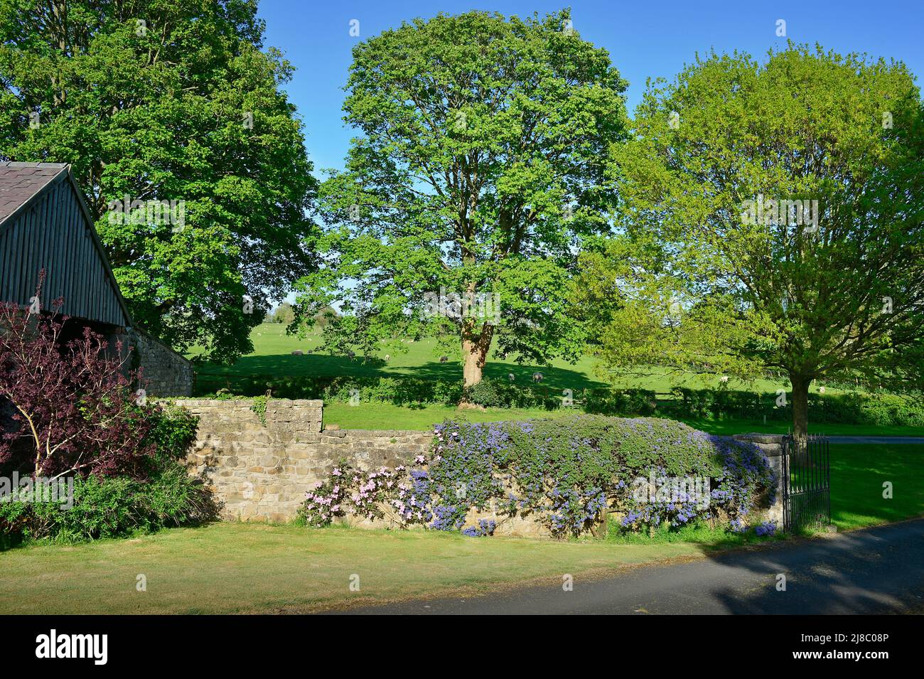 Finca Masham North Yorkshire Inglaterra Reino Unido Foto de stock