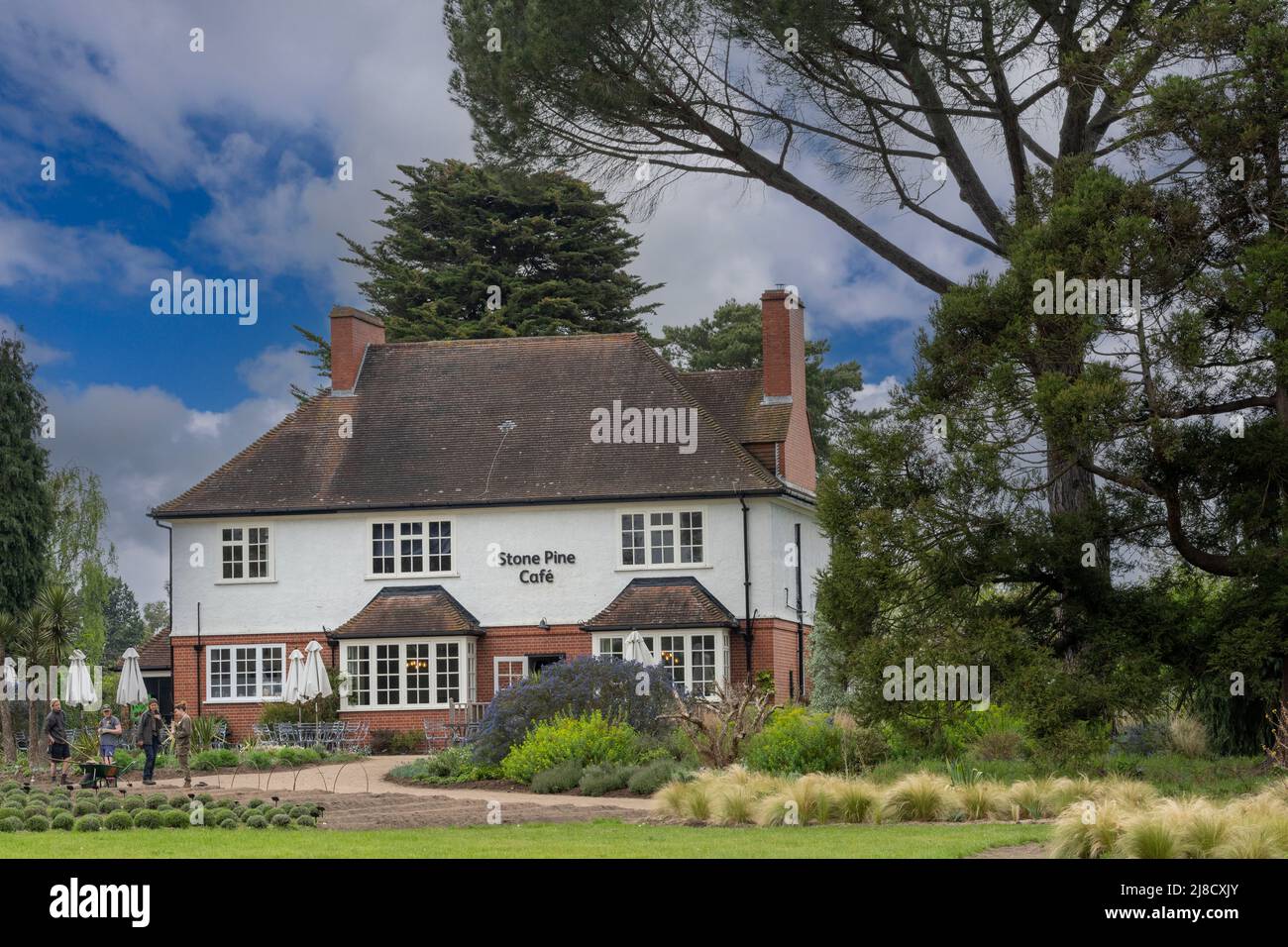 Stone Pine Café en RHS Wisley Garden, Wisley Gardens, Wisley, Surrey, Inglaterra, REINO UNIDO Foto de stock