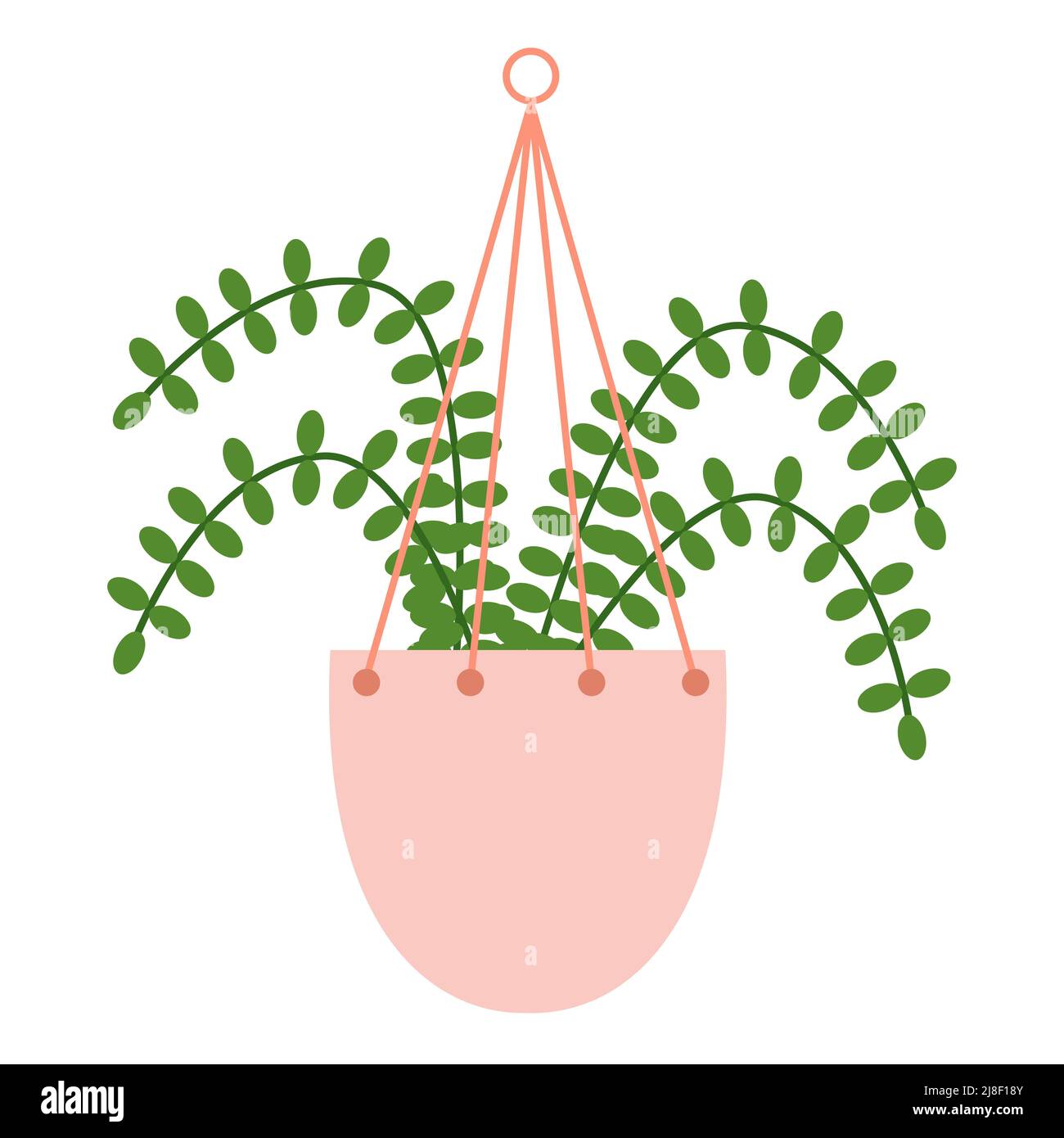 Adecuado como planta de interior Imágenes vectoriales de stock - Alamy Adecuado como planta de interior Imágenes vectoriales de stock - Alamy