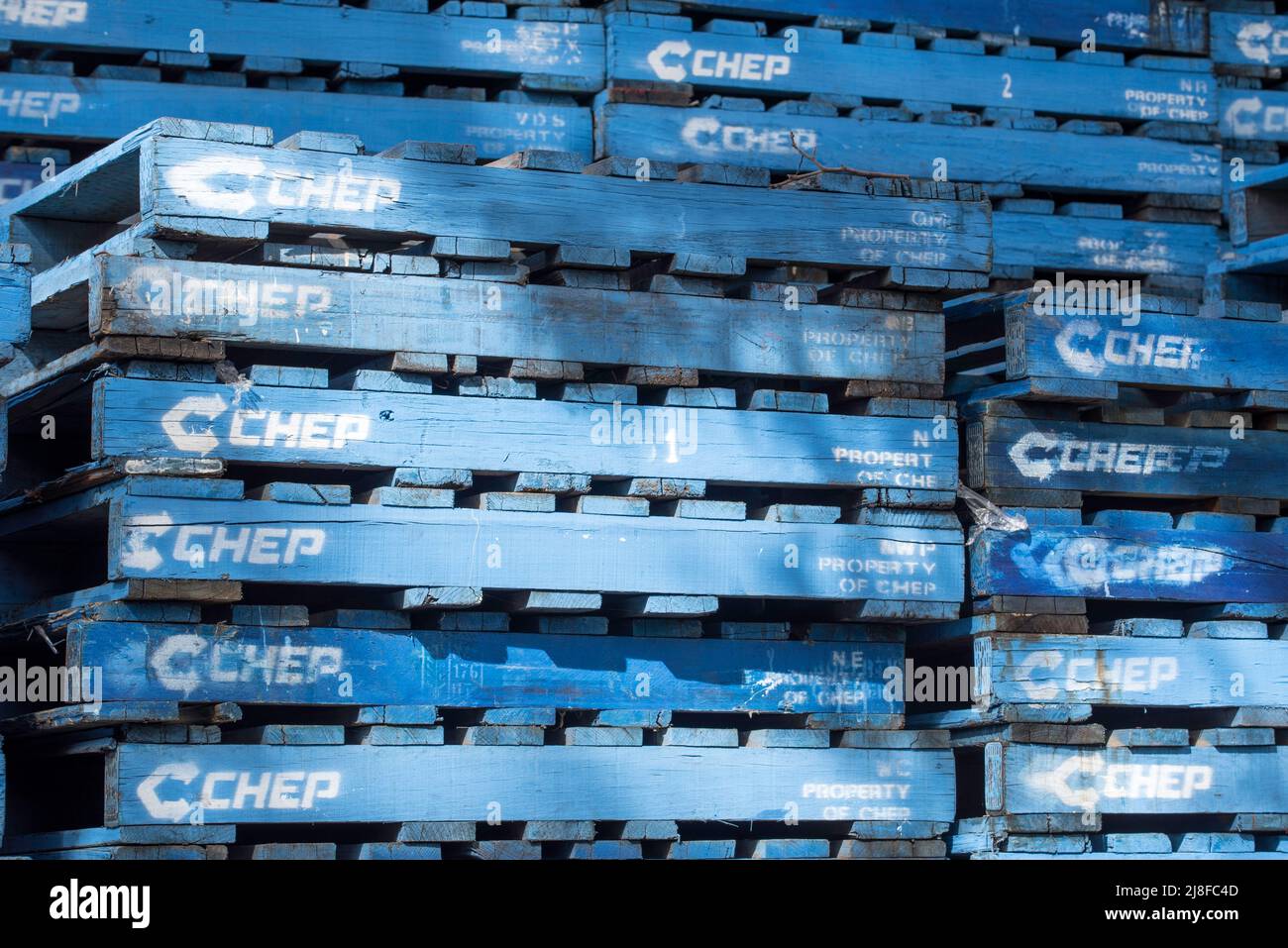 Palets CHEP azules apilados, una filial de la empresa australiana Brambles, en un patio que